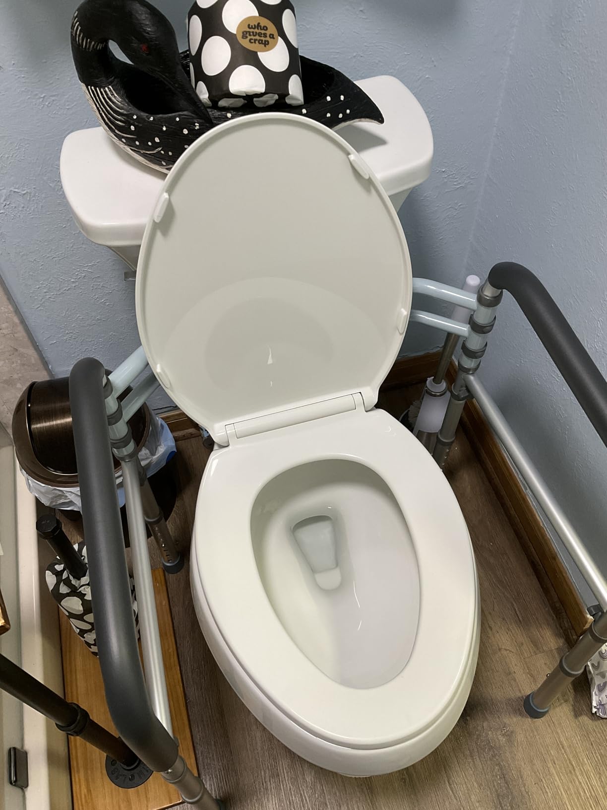 Lianjindun Toilet Safety Rails, 350 lbs, Adjustable Height & Width | Fits Most Toilets, Foldable Design, 350 Lbs Capacity, Aluminum Toilet Frame, Toilet Handles for Seniors, Disabled, Handicap customer photo 1