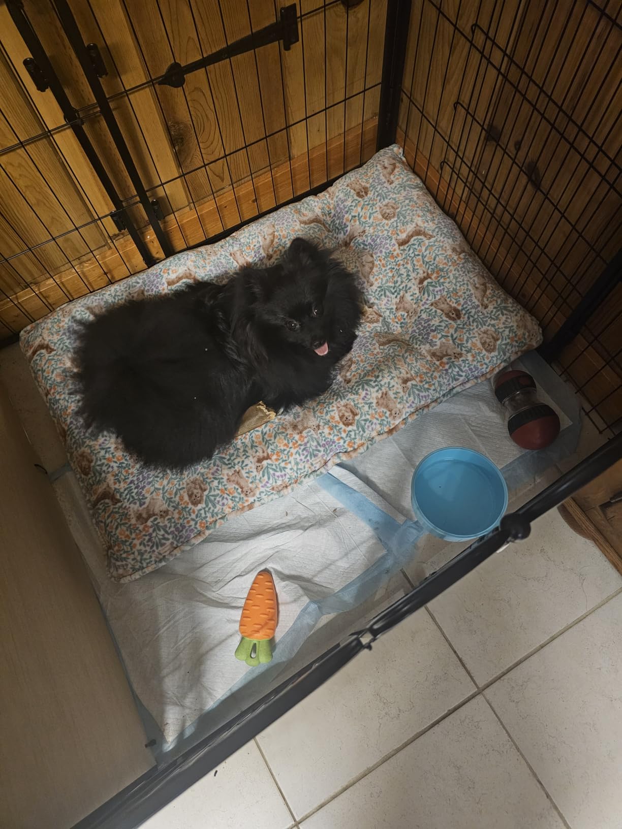 FXW Homeplus Indoor Dog Playpen, 40