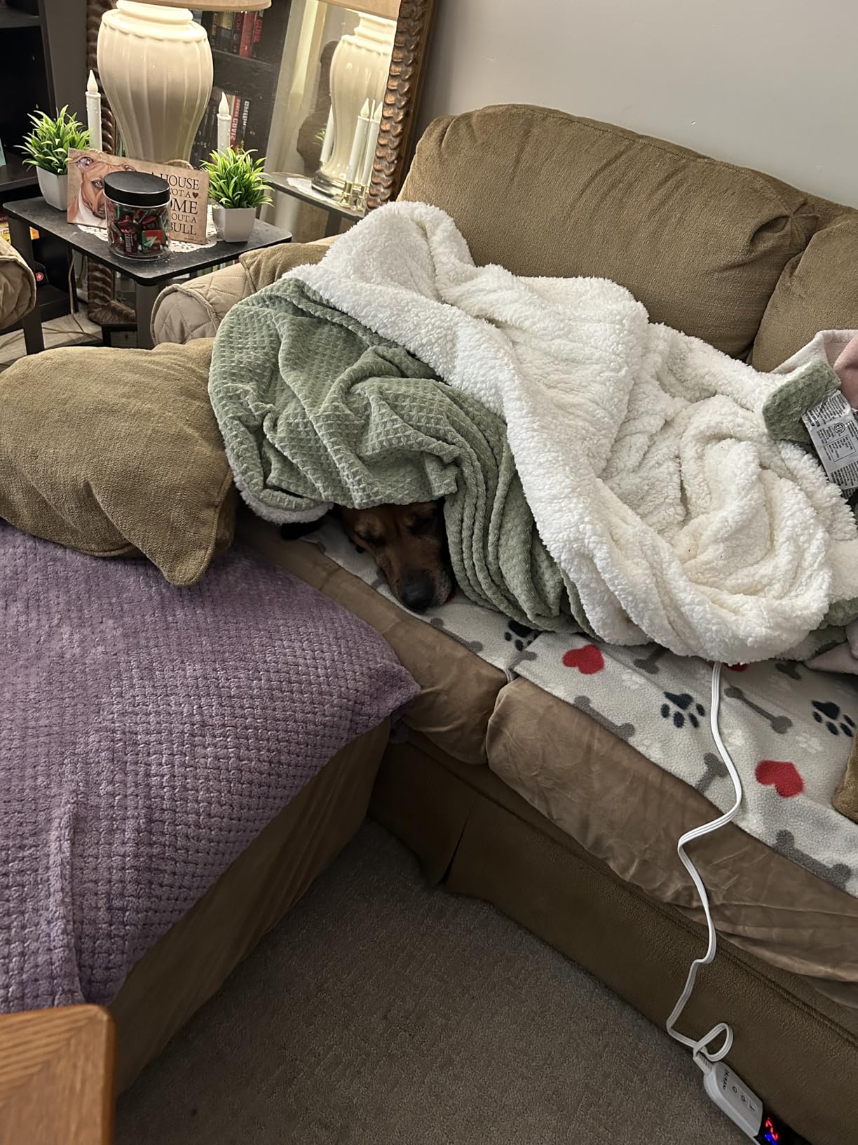 Heated Blanket Electric Blanket Queen Waffle, 84x90 Inches Dual Controllers Sherpa Fleece Fast Heating Blanket 6 Heating Levels & 10 Hours Auto Off ETL Certification, Sage Queen customer photo 1
