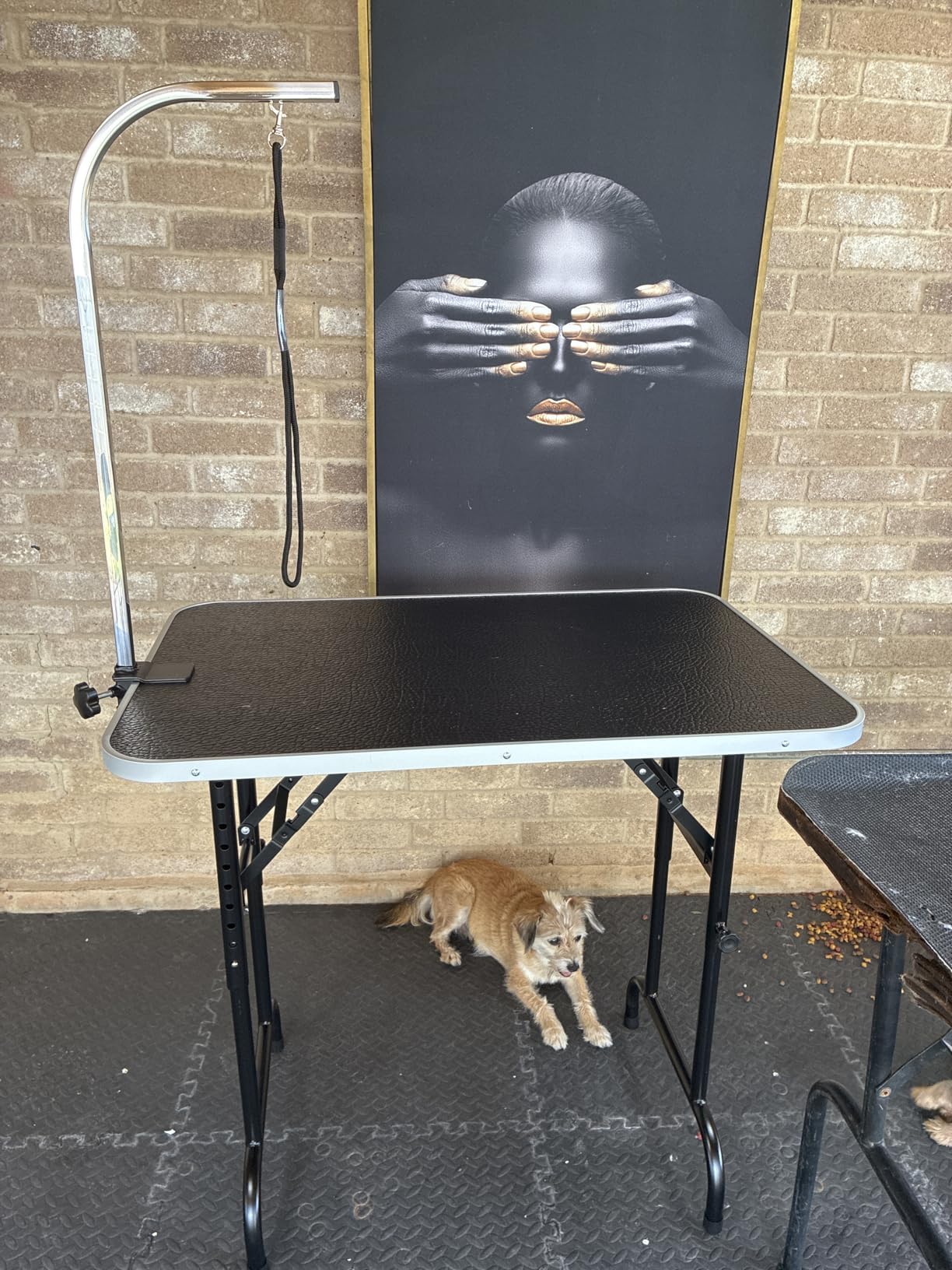 LEIBOU 45'' Height Adjustable(23''~33.8'') and Foldable Pet Dog Grooming Table Heavy Duty Iron Frame with H-Shape Grooming Arm & Noose, Maximum Capacity Up to 260lbs, Black customer photo 1