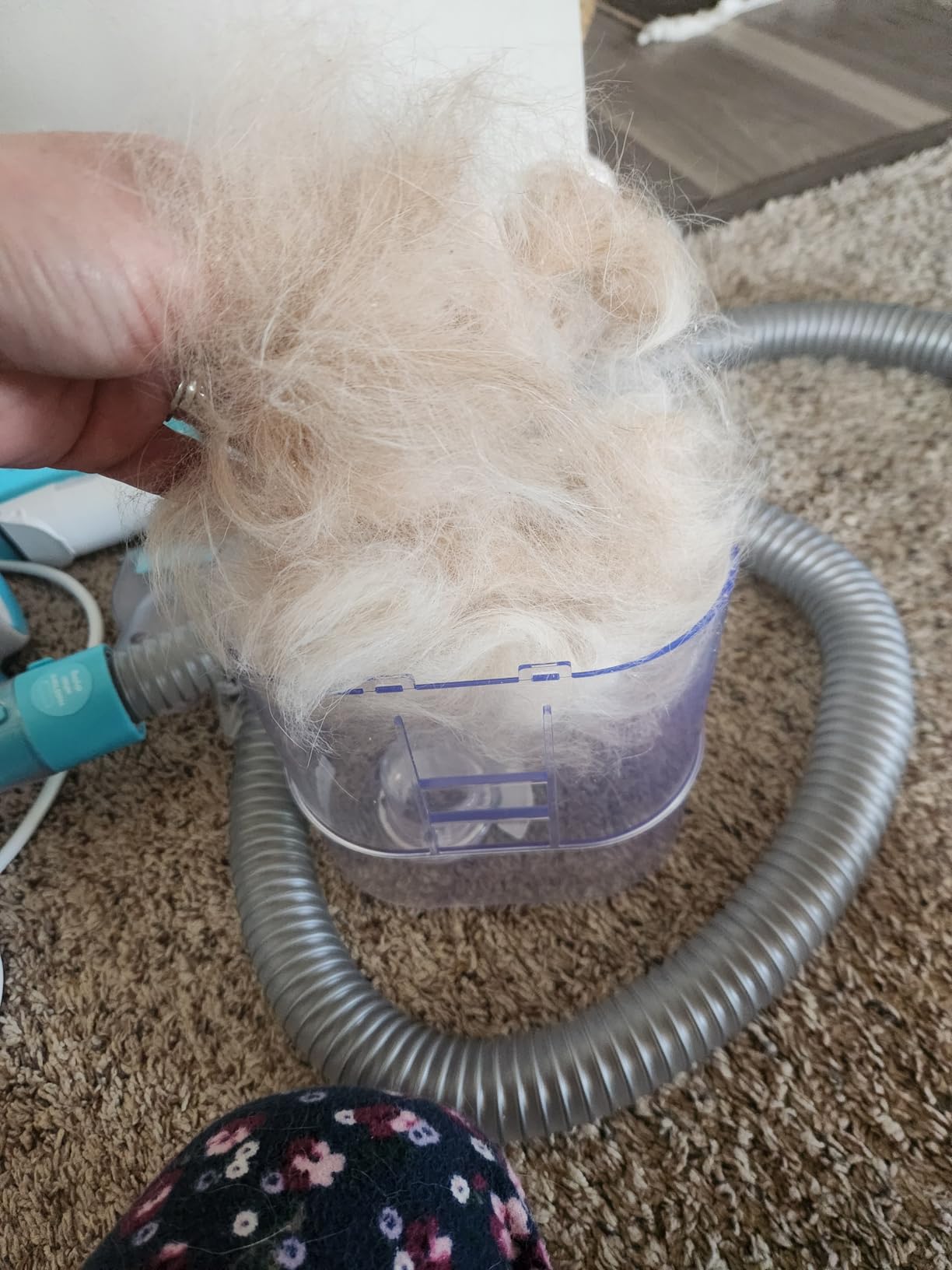 Uproot Clean Pet Grooming Vacuum for Dogs & Cats: 7-in-1, Quiet & Mess-Free | Pet Hair Vacuum with 7 Tools - Brush, Deshed, Detangle, Trim, Clean & Dry. Low-Noise Cat & Dog Grooming Kit for Shedding customer photo 1
