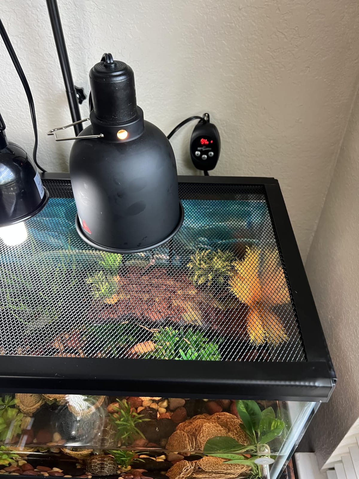 REPTI ZOO Reptile Light Fixture with Dimming Thermostat, 8.5 Inch Deep Dome Lamp Fixture with Reptile Heat Lamp Bulb Temperature Controller Reptile Dimming Thermostat Max 150W customer photo 1