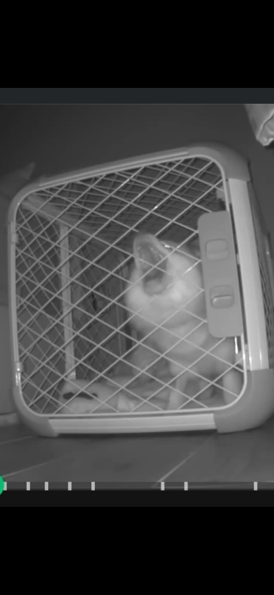 Diggs Evolv Modular Dog Crate for Dogs 18-22