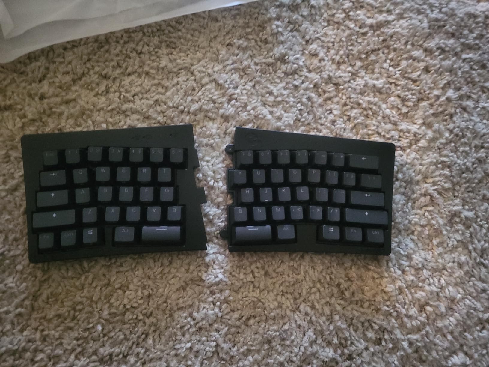 BAROCCOMiSTEL MiSTEL MD600 Alpha BT RGB, Split Keyboard, Ergonomic Mechanical Keyboard, 60%, PBT Double Shot Keycap (Transparent), Bluetooth5.0, Mac/Windows OS Compatible -Gateron G Pro Red customer photo 2