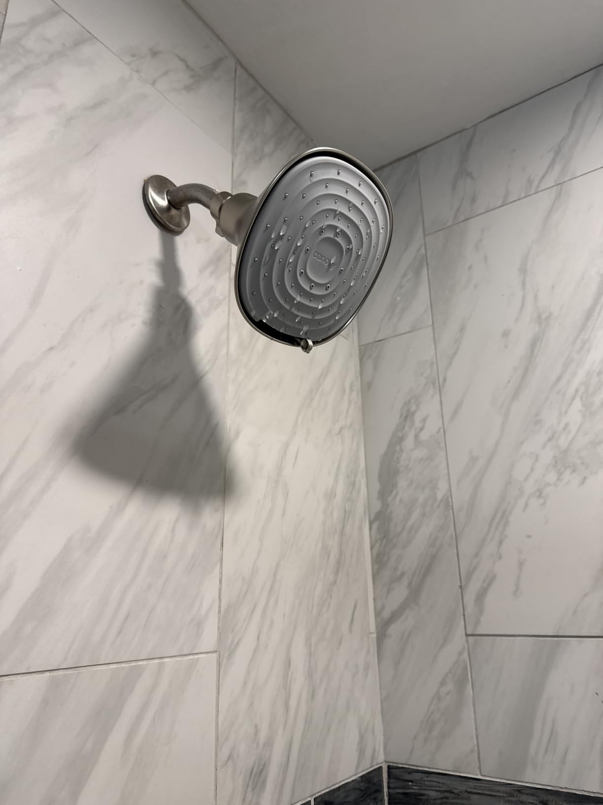 Canopy Filtered Shower Head - High Pressure Shower Head Filter for Hard Water - Removes Impurities for Healthier Scalp, Skin & Hair - Brass customer photo 2