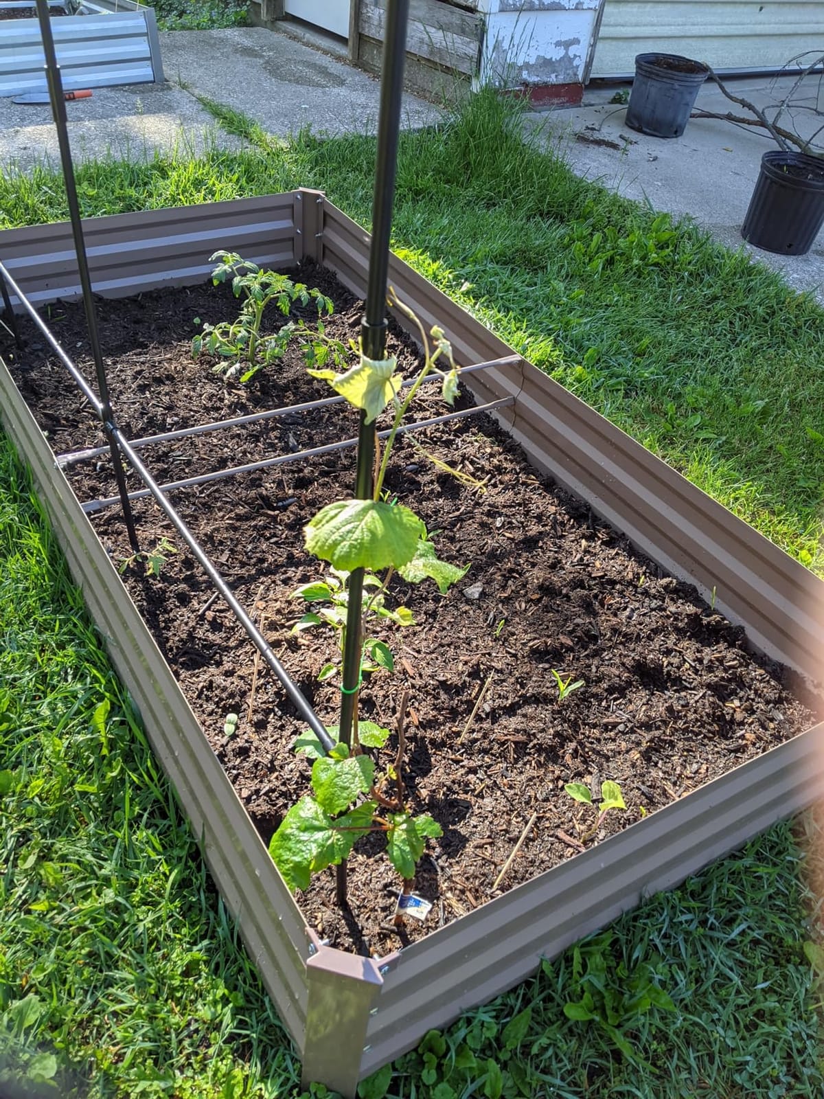 DTIG Galvanized Raised Garden Bed with Trellis, 6x3x1 FT 2 Pack Outdoor Garden Bed, Upgraded 4x3 Support, Brown customer photo 1