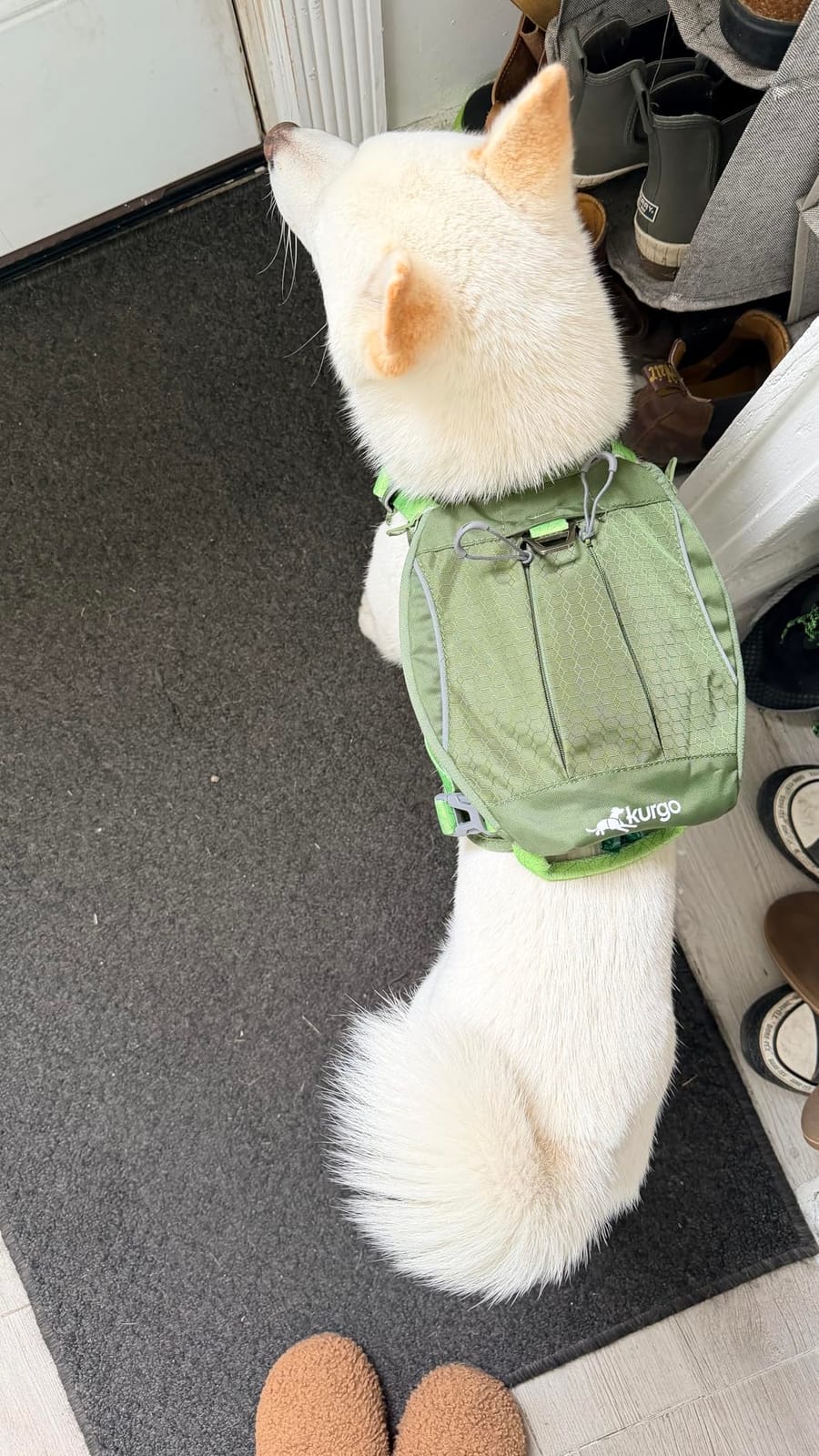 Cascade Hiking Harness Backpack for Dogs, Green, Extra Large | 2-In-1 Harness with 3-Pocket Hiking Backpack, 4 Adjustment Points, Padded Chest and Belly, Two Leash Points customer photo 1