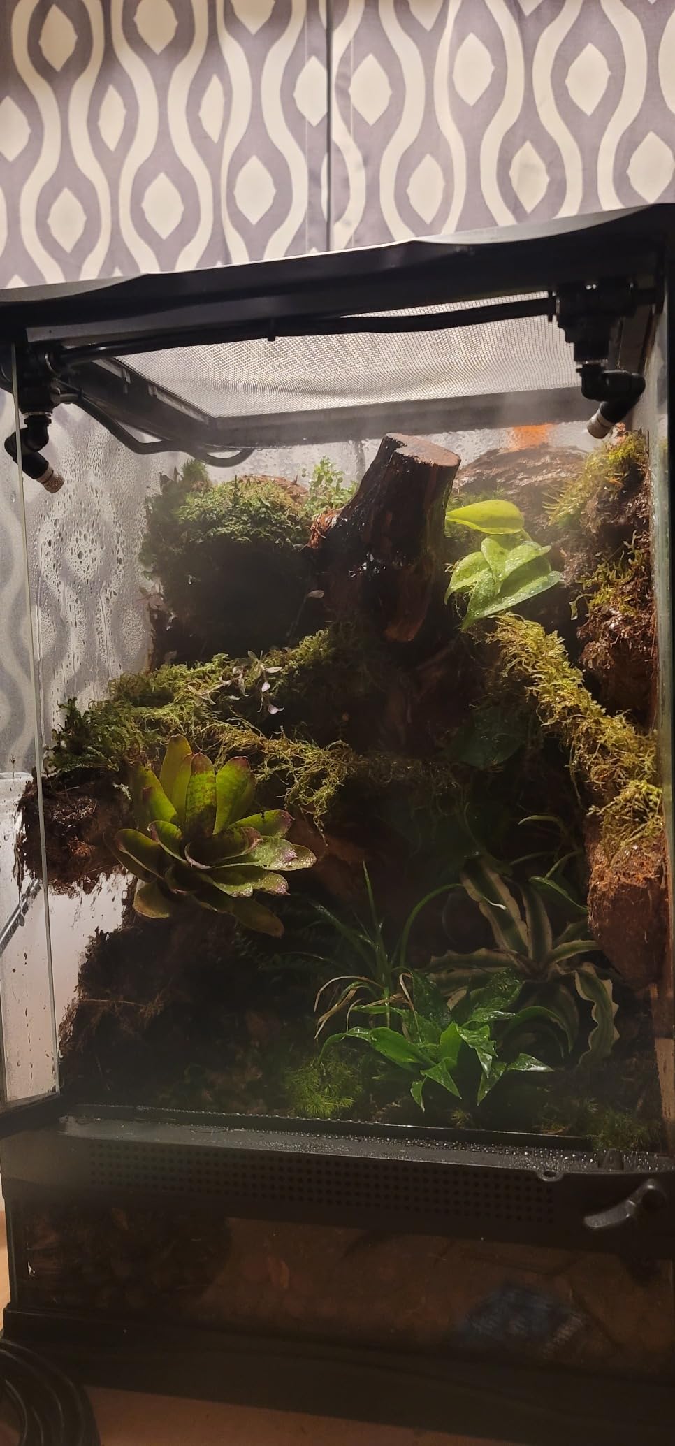 Reptile humidifier, LCD with Timing Function, time Length and Interval can be Set, Reptile Spray System with 6 Spray nozzles, misting System for Reptiles of Amphibians, Tanks, Paludarium customer photo 1