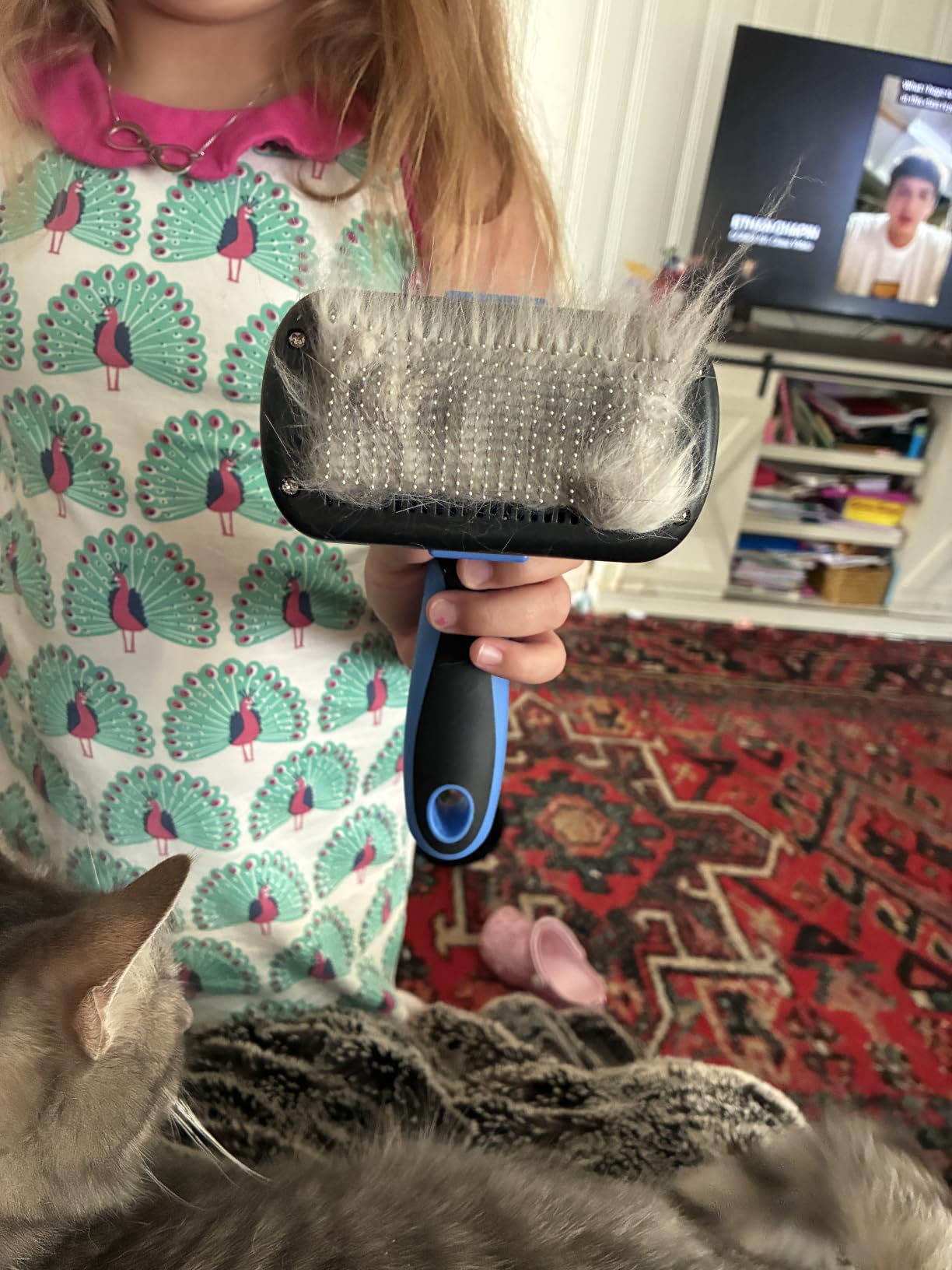Swihauk Self Cleaning Slicker Brush - Skin Friendly Deshedding Grooming Tool for Dogs & Cats, Suitable for Shedding & Haired Pets, with Pet Supplies Accessories, Blue customer photo 1