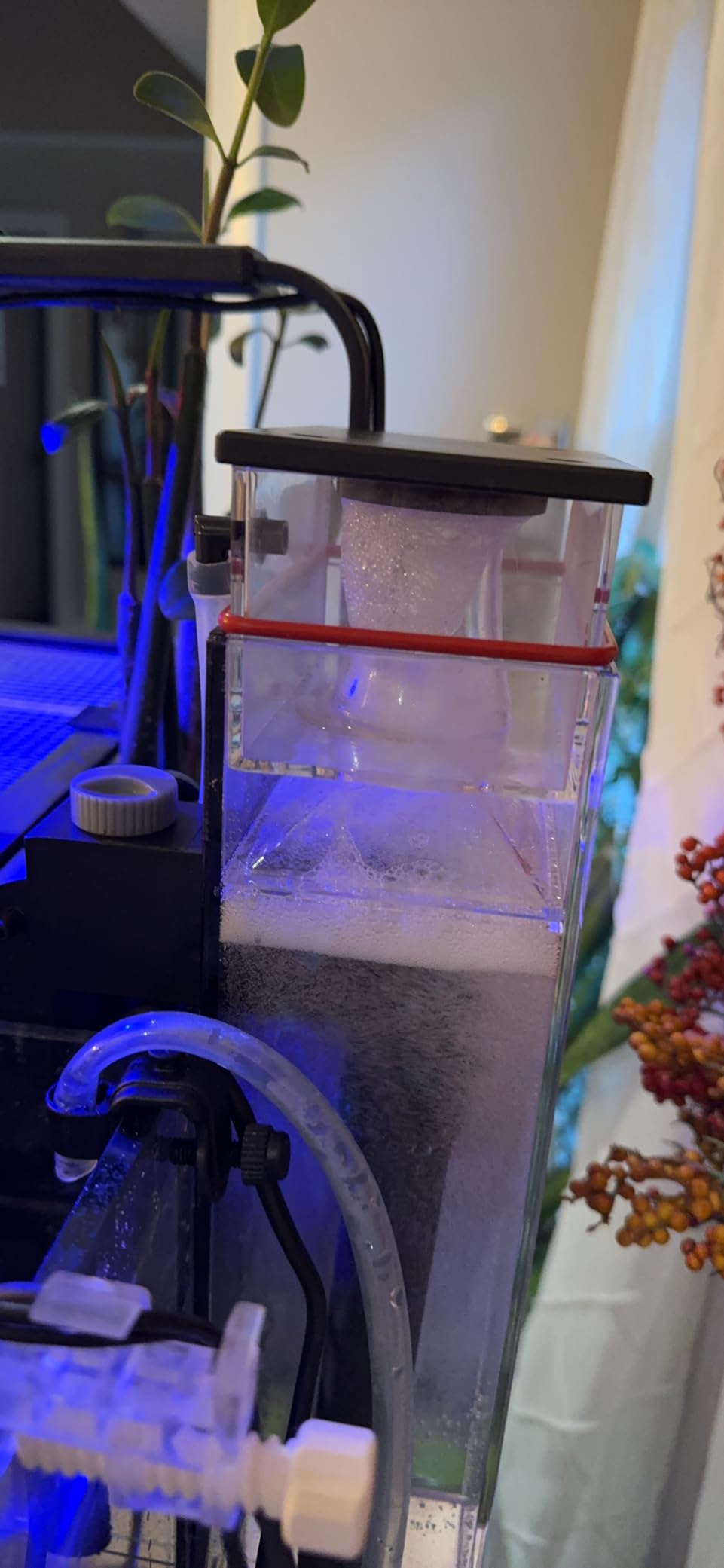 Coralife Hang on Back DC-Controlled Mini Protein Skimmer for Saltwater Aquariums | Aquarium skimmer with variable speed pump, inline remote control, small footprint for reef aquarium sumps customer photo 1
