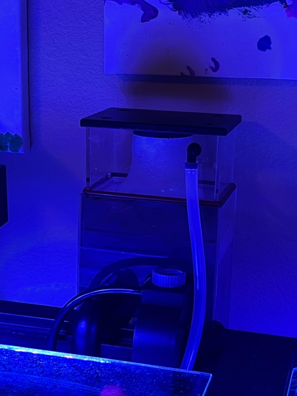 Coralife Hang on Back DC-Controlled Mini Protein Skimmer for Saltwater Aquariums | Aquarium skimmer with variable speed pump, inline remote control, small footprint for reef aquarium sumps customer photo 2