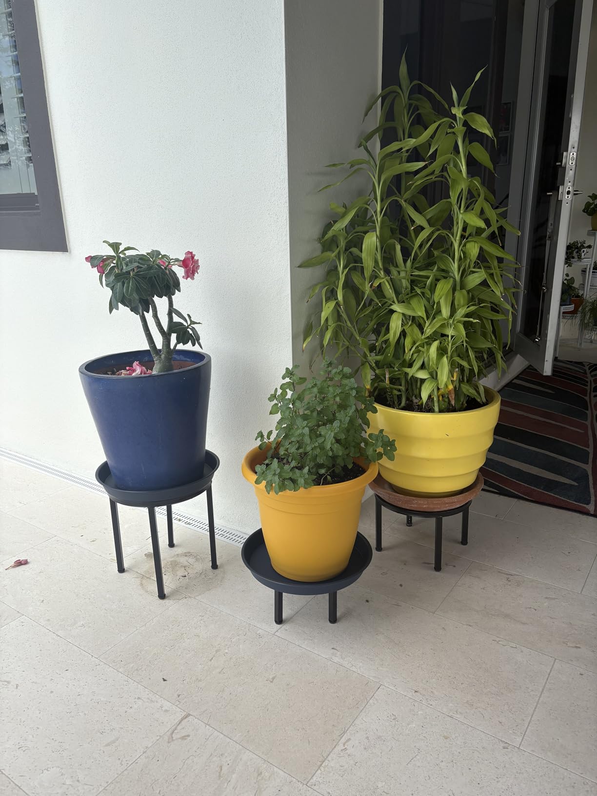Zhongma Set of 4 Fully Assembled Metal Plant Stand for Heavy Potted Plant for Home Indoor and Outdoor, 220 LBS Capacity & Heavy Duty Construction, Sturdy Plant Riser without Installation Required customer photo 2