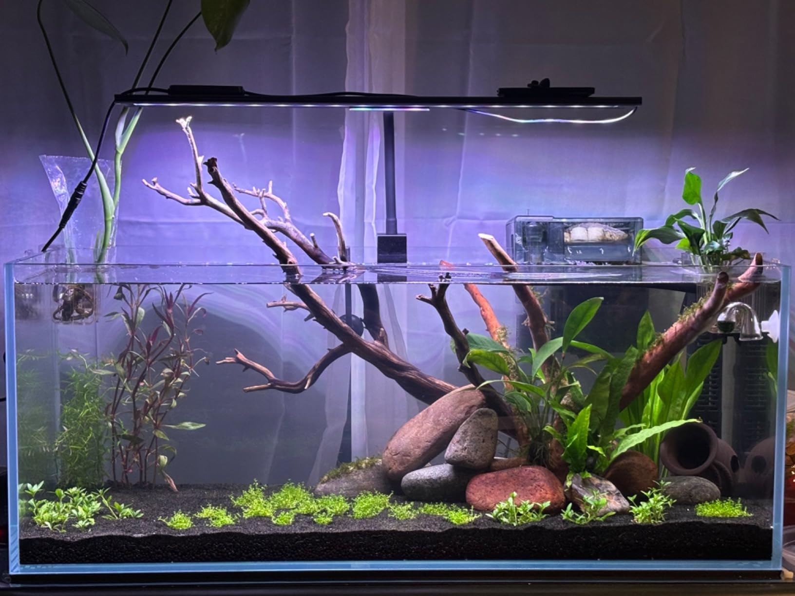 Low Iron Ultra Clear Rimless Glass Aquarium Fish Tank (20 Gallon Long) customer photo 1