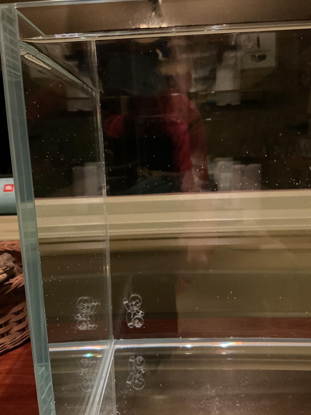 Low Iron Ultra Clear Rimless Glass Aquarium Fish Tank (20 Gallon Long) customer photo 2