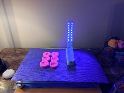 Resiners UV Resin Light, Rechargeable 3-in-1 Foldable UV Lamp, AirWave Pro | Adjustable 3-in-1 Design for Desktop, Handheld or Wall-Mounted Curing of Resin Jewelry, Molds and DIY Crafts, Mint Green customer photo 2