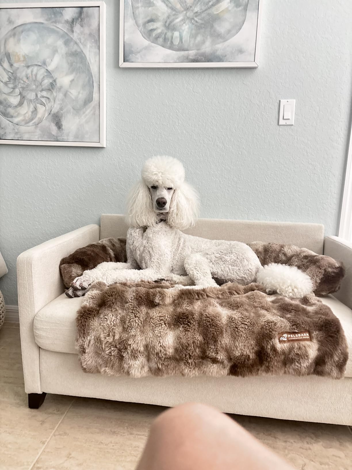 Welzona Loveseat, 51