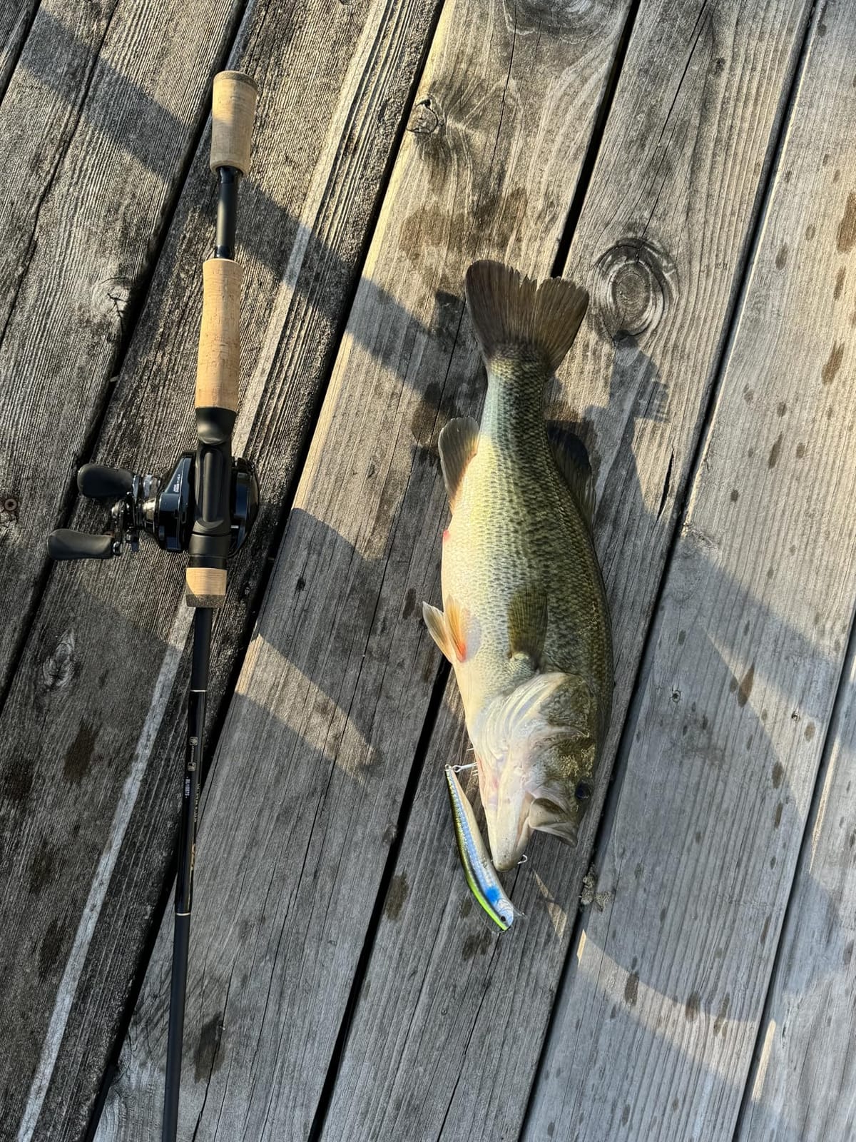 Gloomis GLX JERKBAIT Casting BassFishing customer photo 1