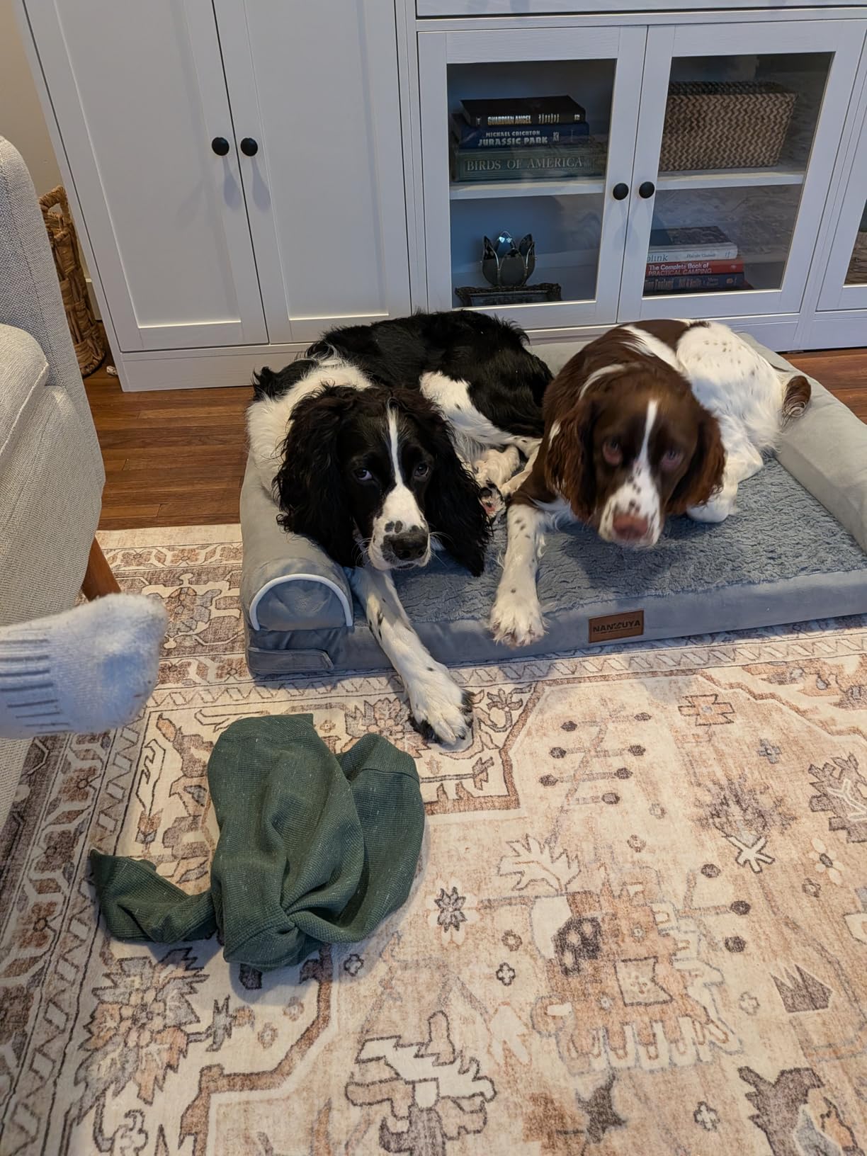 NANUYA Orthopedic Dog Bed for Large Dogs, 36 x 27 Inch, Light Grey | Egg crate foam for joint support, 3-sided bolster pet sofa, waterproof lining, washable cover, and non-skid base customer photo 1