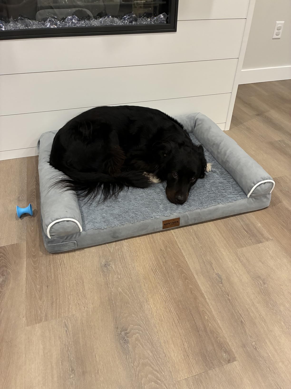 NANUYA Orthopedic Dog Bed for Large Dogs, 36 x 27 Inch, Light Grey | Egg crate foam for joint support, 3-sided bolster pet sofa, waterproof lining, washable cover, and non-skid base customer photo 2