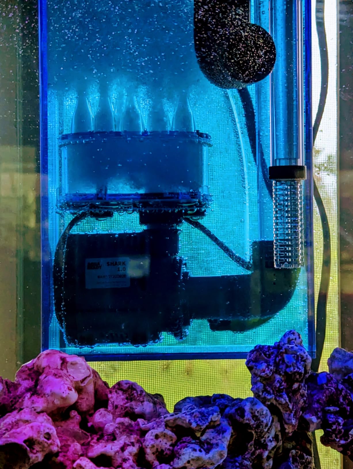 AquaReady Hang On Back Protein Skimmer for Saltwater Aquariums HOB-1.5, Up to 75 Gallon customer photo 1