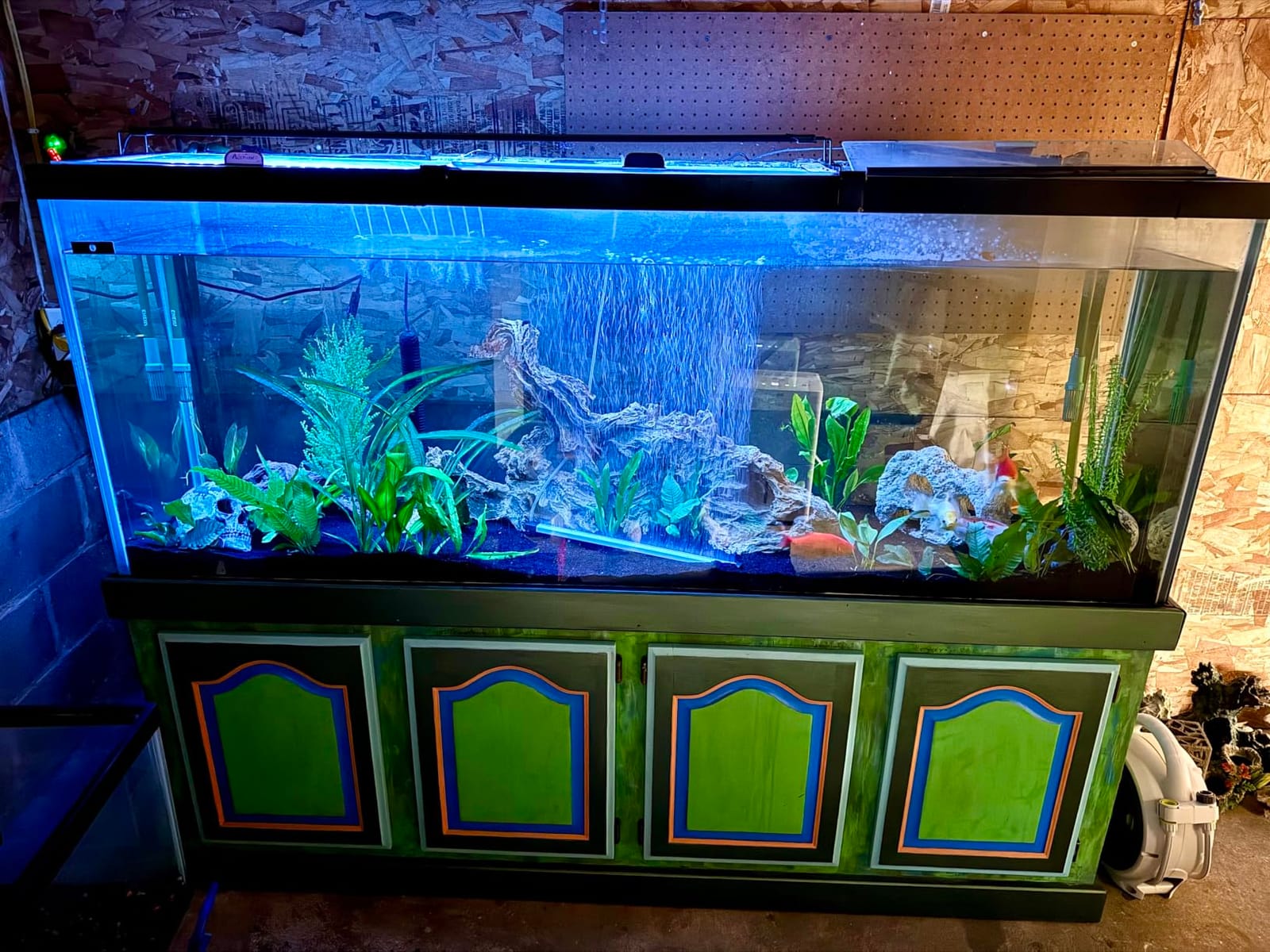 AQQA LED Aquarium Light, 24/7 & DIY Mode Full Spectrum Fish Tank Light | Adjustable Timer/Brightness, Extendable Bracket Aquarium Plant Light, Memory Function, IP68 Waterproof, for 18-24 Inch Tank customer photo 1