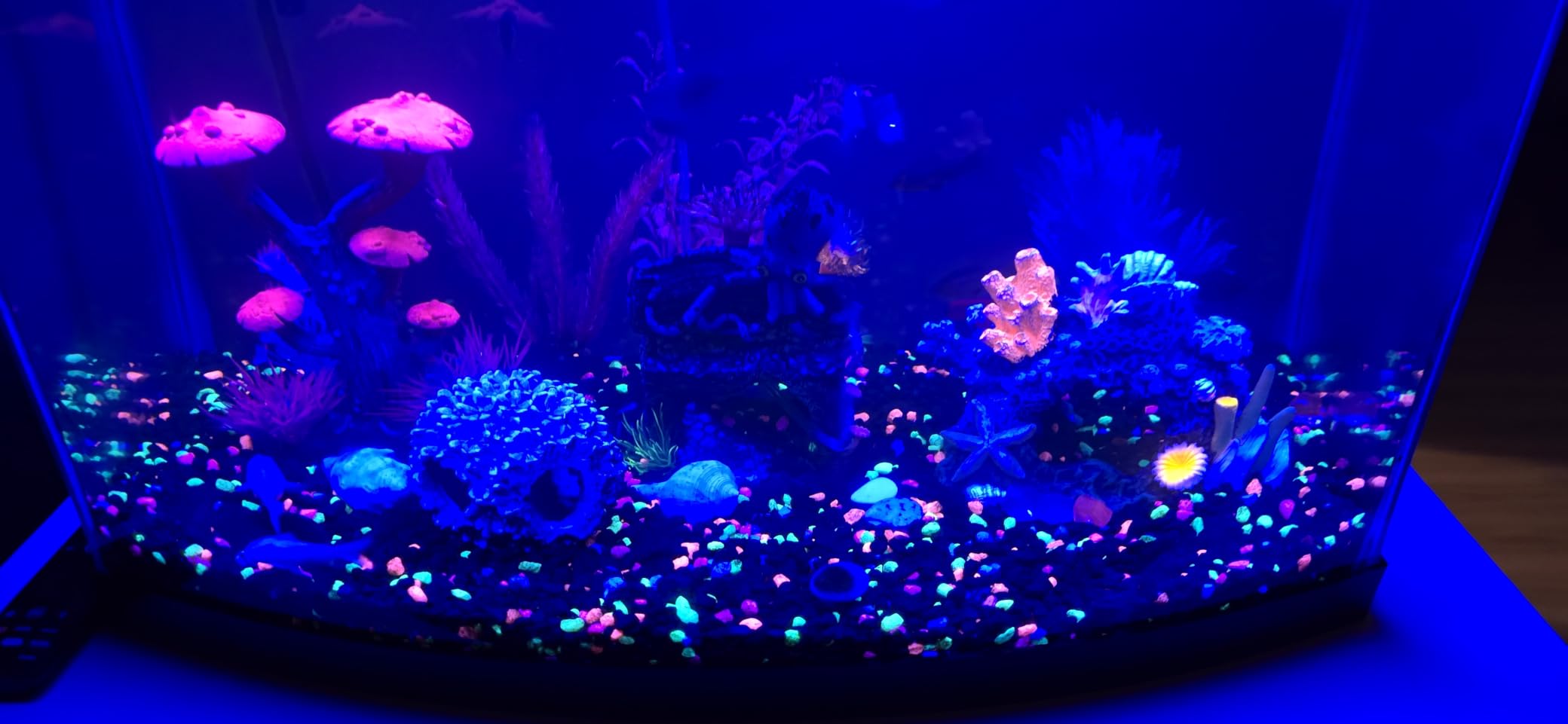 AQQA LED Aquarium Light, 24/7 & DIY Mode Full Spectrum Fish Tank Light | Adjustable Timer/Brightness, Extendable Bracket Aquarium Plant Light, Memory Function, IP68 Waterproof, for 18-24 Inch Tank customer photo 2
