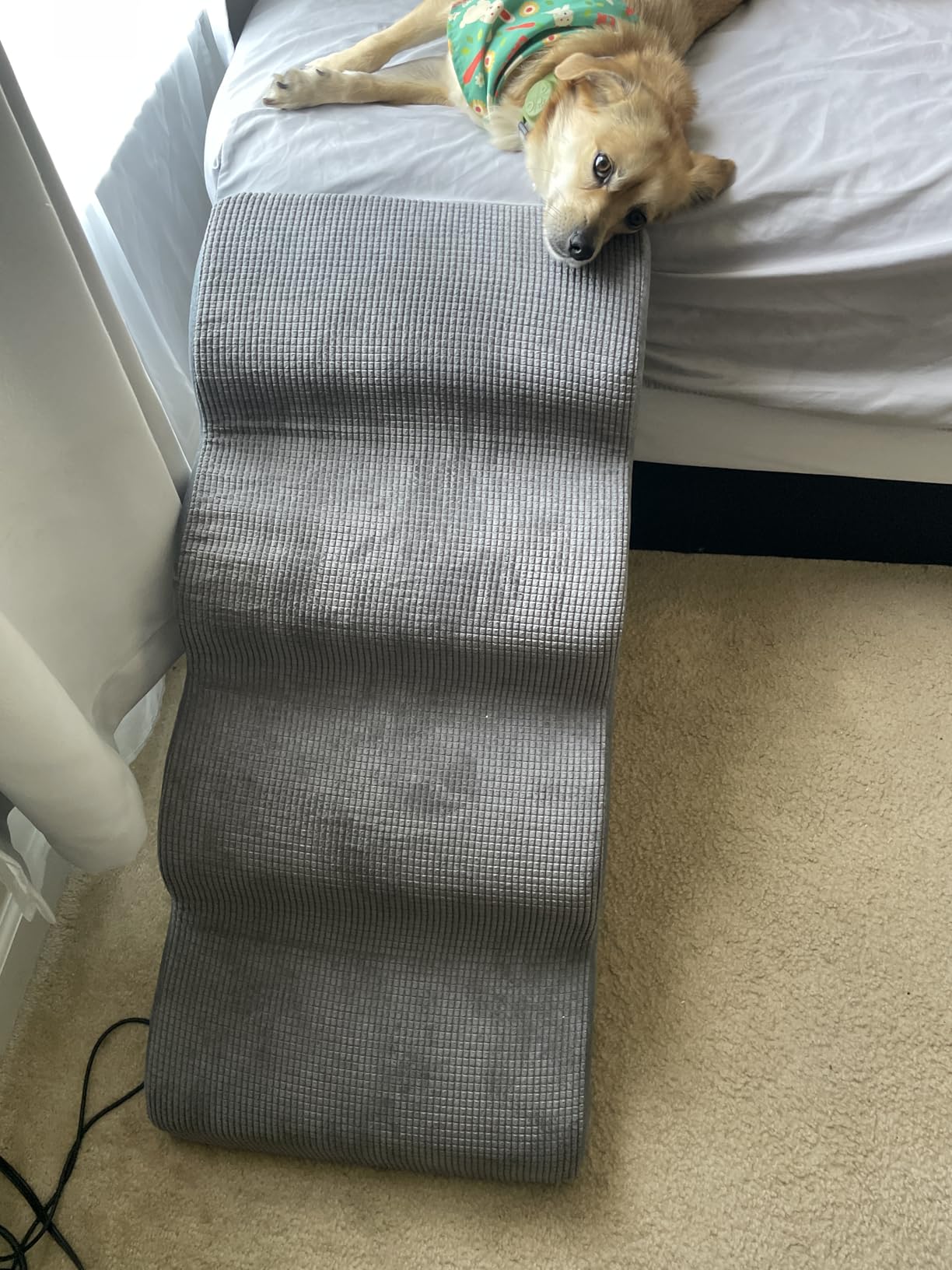 Ahpmeoa Dog Stairs for Small Dogs 19.7