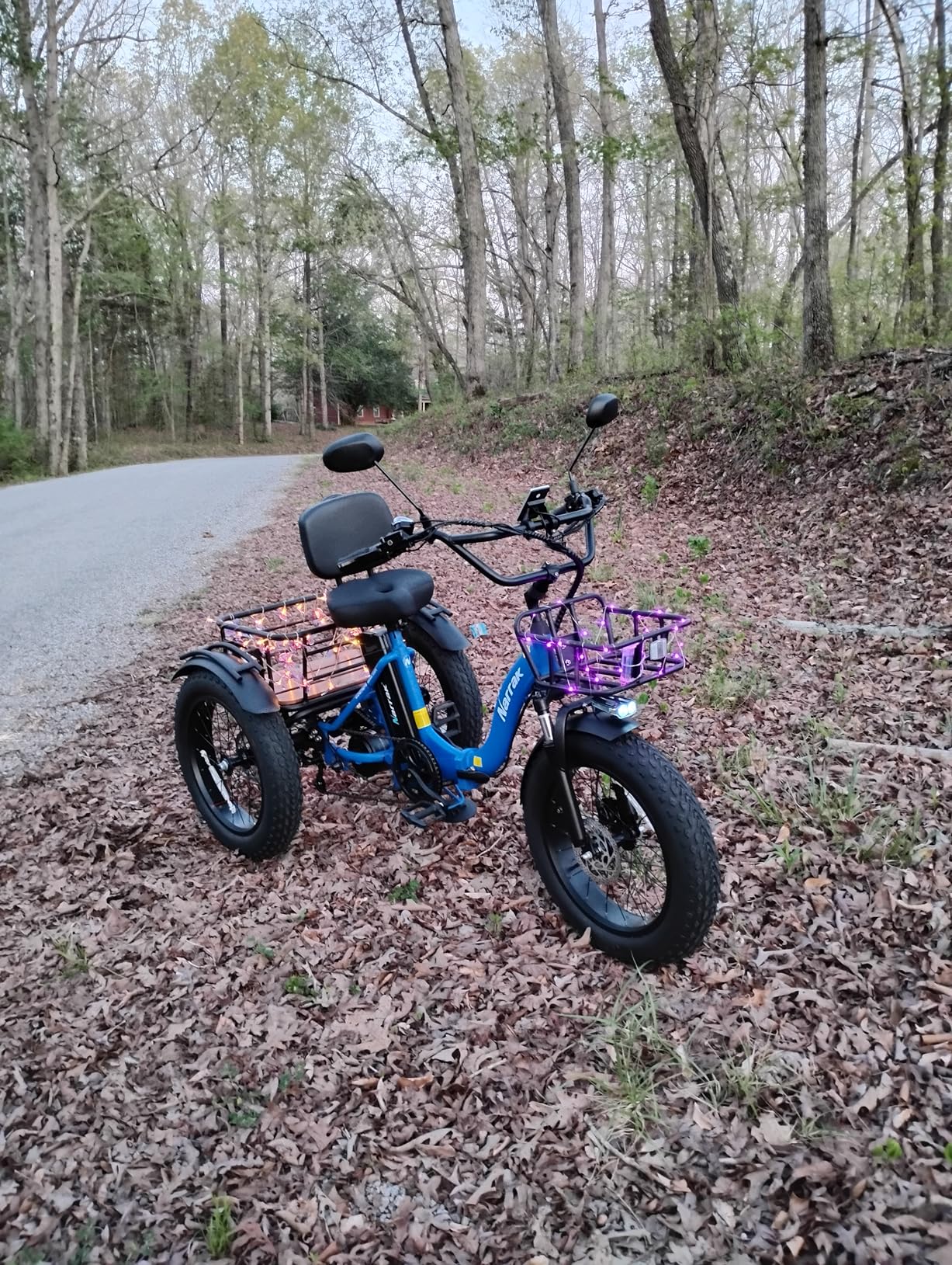 NARRAK Electric Tricycle for Adults, Fat Tire Folding Electric Trike, 3 Wheels Electric Bicycle Bikes, Peak 1350W Step-Thru Etrike with Removable Battery and Large Basket customer photo 2