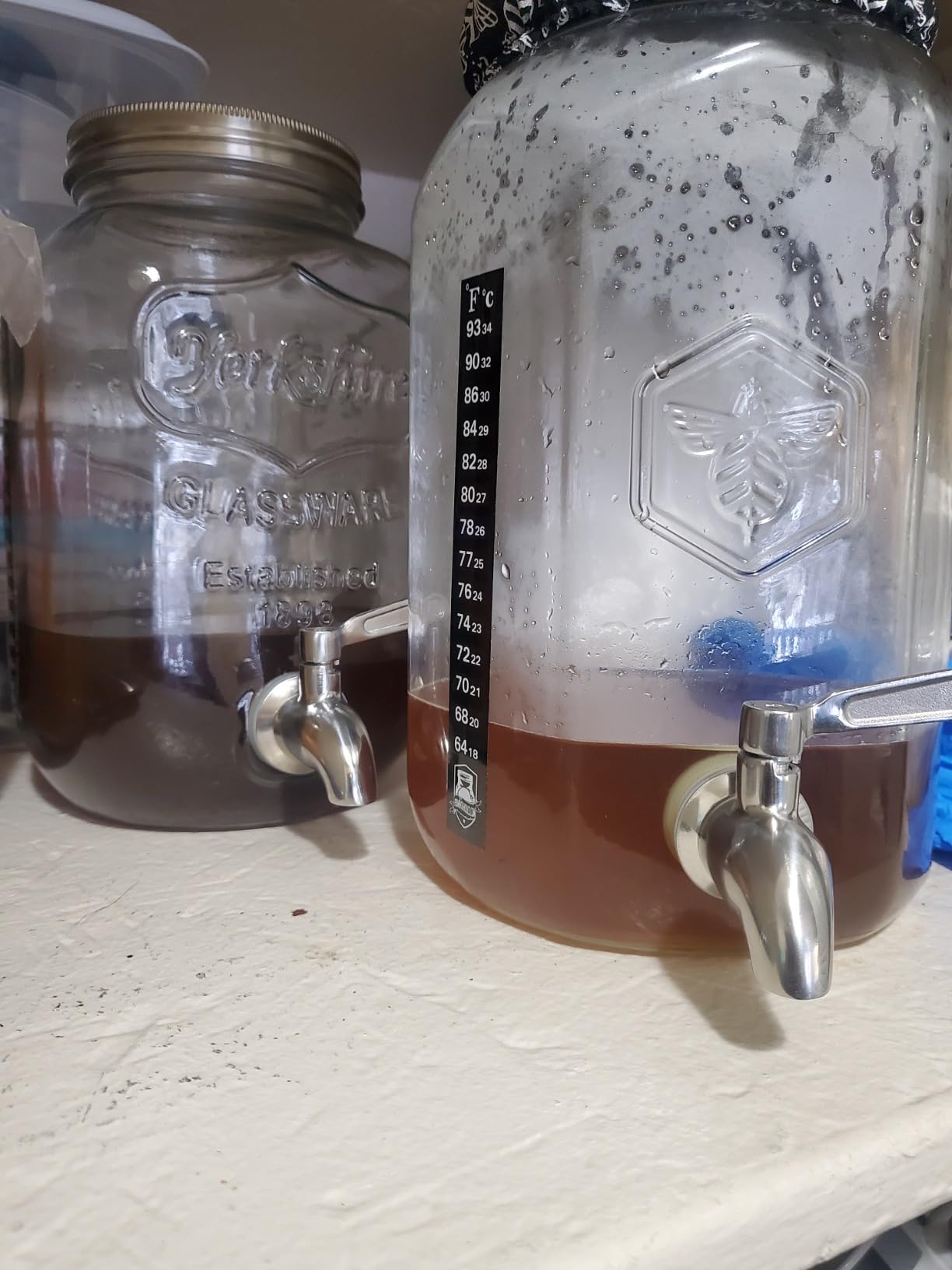 Kombucha Continuous Brewing Jar with Spigot - Gallon Glass Jar Dispenser & Scoby Starter Hotel with Mesh Lid & Airtight Lid - Designed by kitchentoolz for Home Fermentation customer photo 1