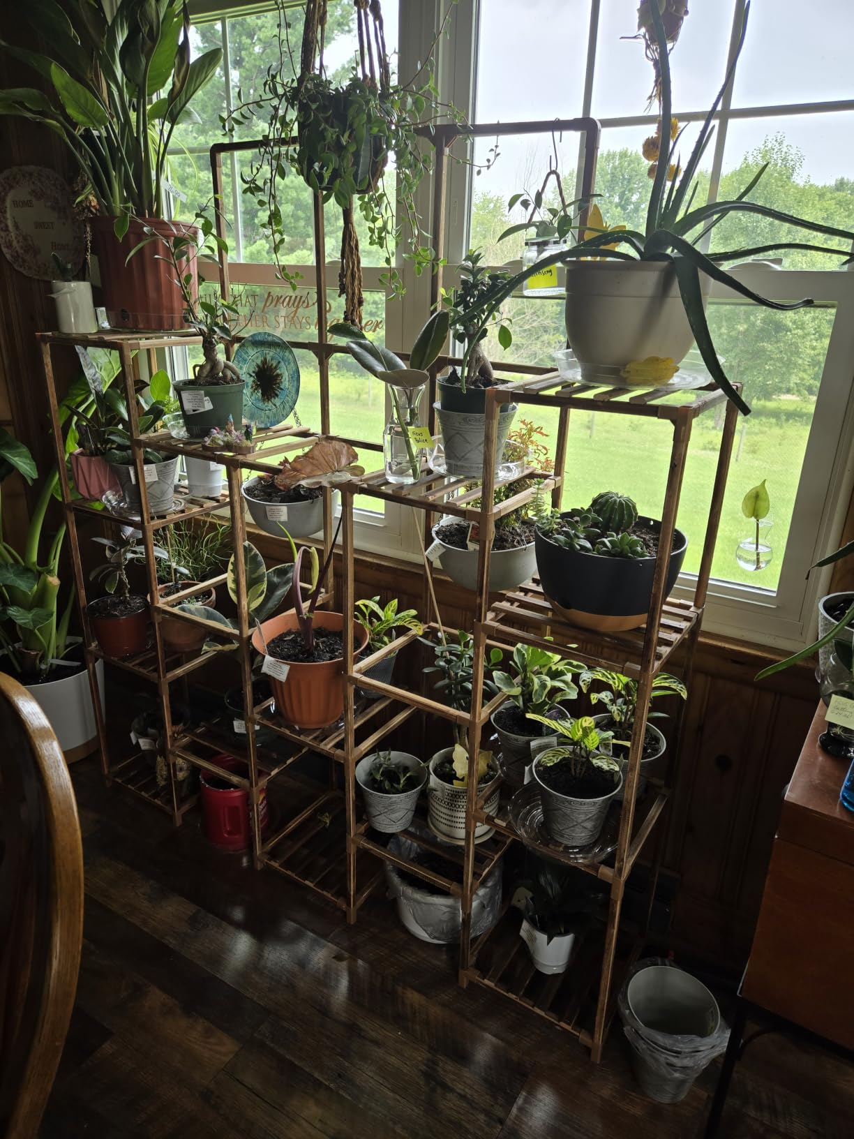 EnHomee Tall Plant Stand, Large Indoor Outdoor for Living Room Patio | Wood Stand for Plant Lovers, Holds 18-22 Pots. Anti-tip Design Ensures Safety customer photo 2