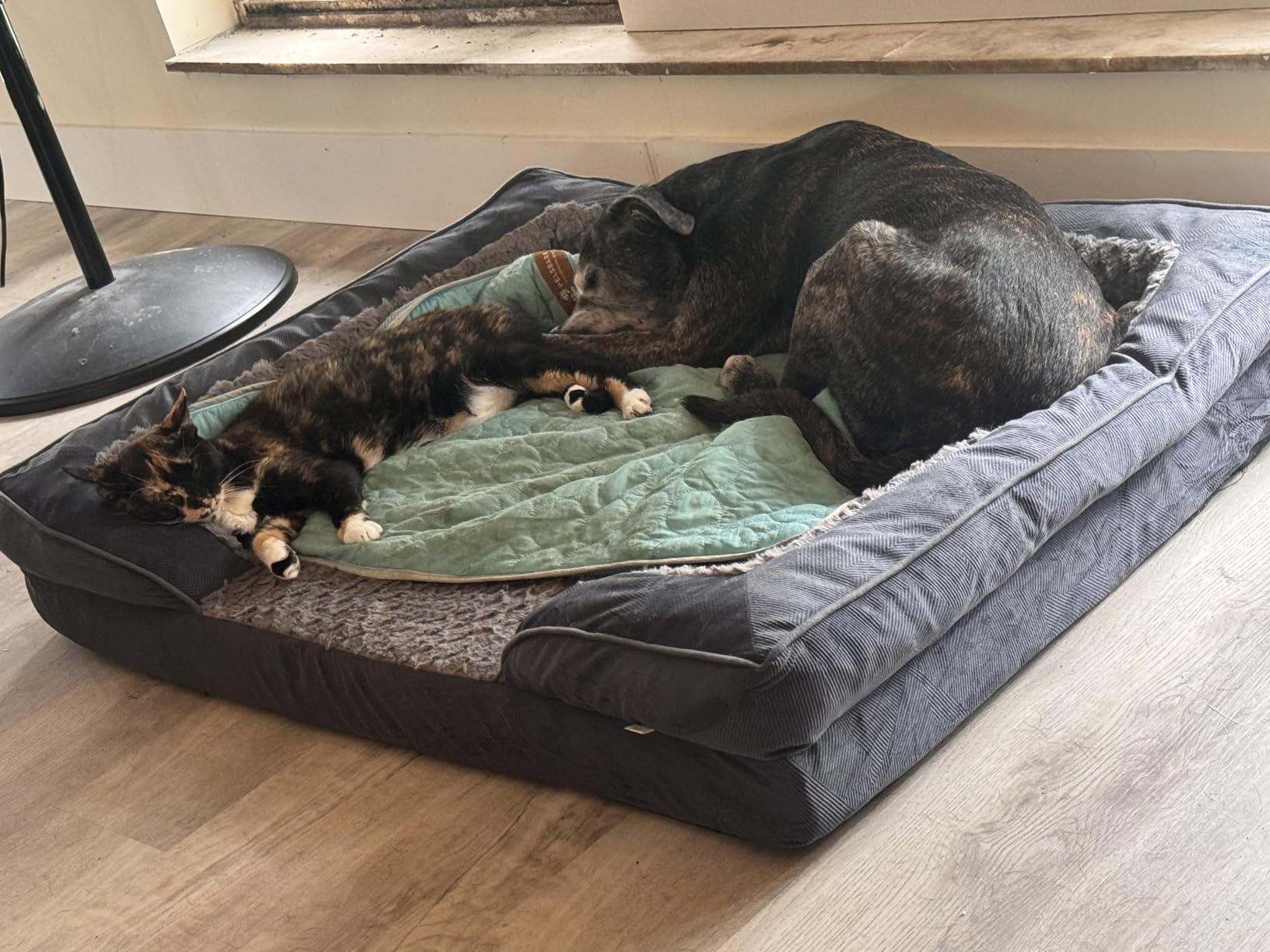 INVENHO Orthopedic Dog Beds Large Sized, XL Washable Dog Sofa with Egg-Crate Foam, Waterproof Lining and Non-Skid Bottom customer photo 2