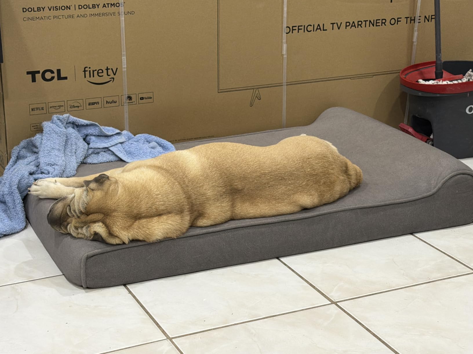 Sytopia XXL 35D Memory Foam Dog Bed for Extra Large Dogs - 7