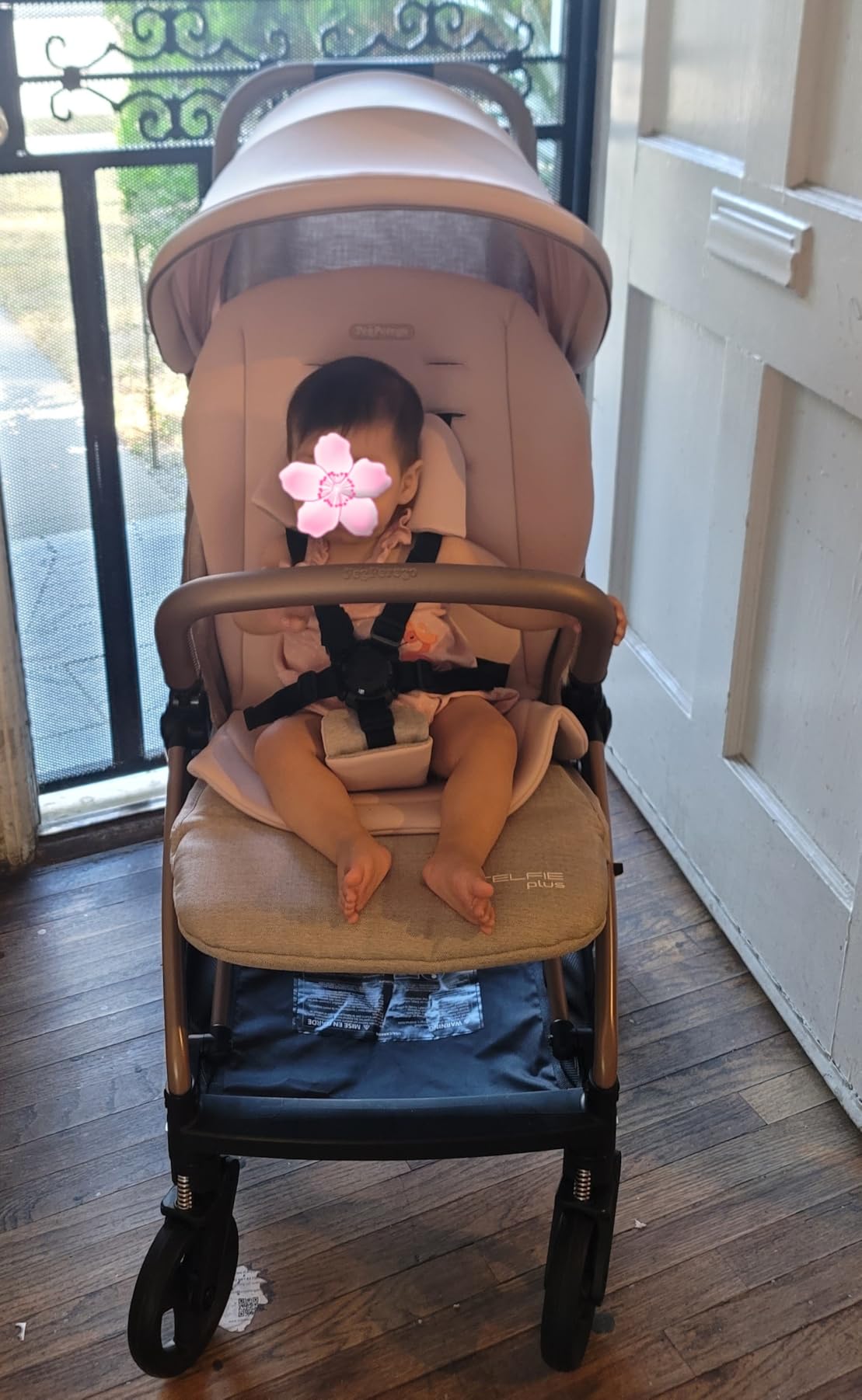 Peg Perego Selfie Plus Stroller - Metal customer photo 1
