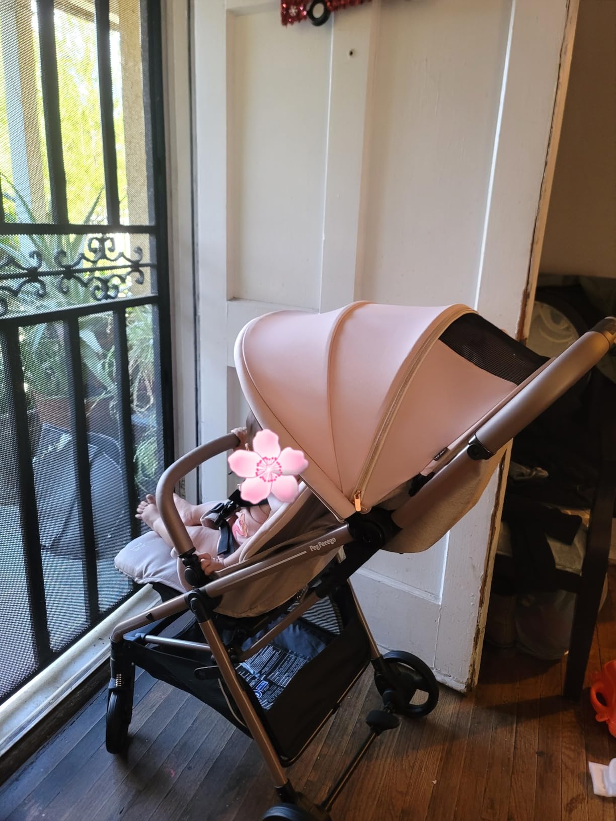 Peg Perego Selfie Plus Stroller - Metal customer photo 2