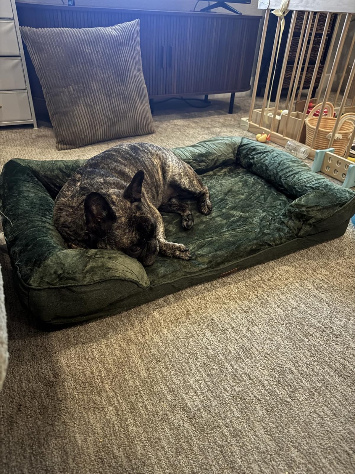 EHEYCIGA Orthopedic Small Dog Bed, Waterproof Memory Foam Washable Pet Beds | Non-Slip Bottom and Egg-Crate Foam Medium Dog Couch Bed with Washable Removable Cover, Grey customer photo 1