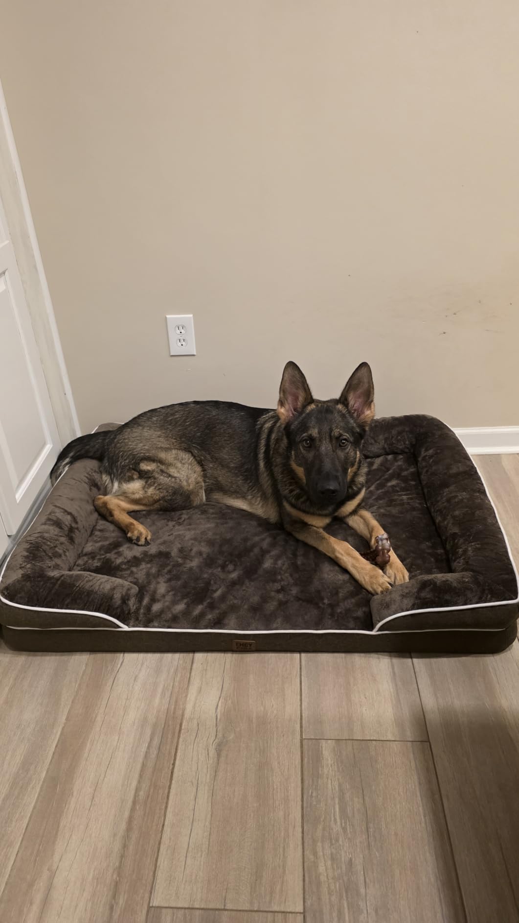 EHEYCIGA Orthopedic Small Dog Bed, Waterproof Memory Foam Washable Pet Beds | Non-Slip Bottom and Egg-Crate Foam Medium Dog Couch Bed with Washable Removable Cover, Grey customer photo 2