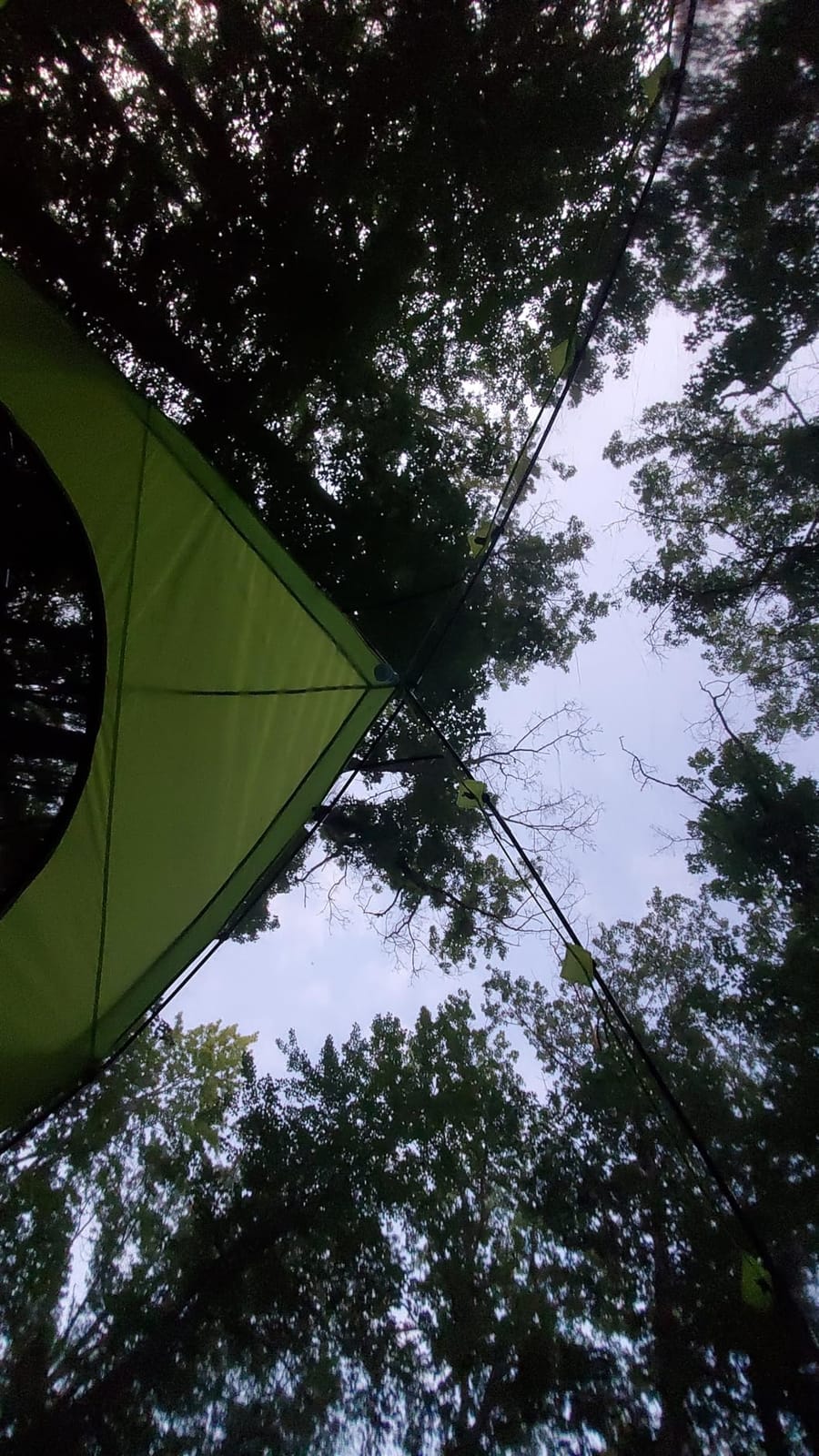 Coleman Skydome Camping Tent with Screened Porch & 5-Minute Setup, Weatherproof 4/6/8 Person Tent with Rainfly & Carry Bag, Made of PFAS-Free Materials customer photo 1