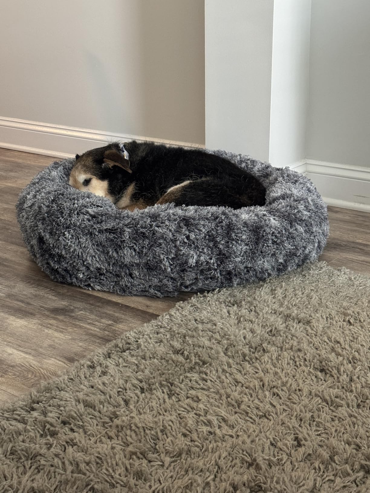 JOLLYVOGUE Small Dog Bed, Calming Dog Beds for Small Dogs & Indoor Cats - 20 Inches Donut Washable Cat Bed for Kittens & Puppies, Round Fluffy Plush Faux Fur Pet Beds (Smoke Grey) customer photo 2