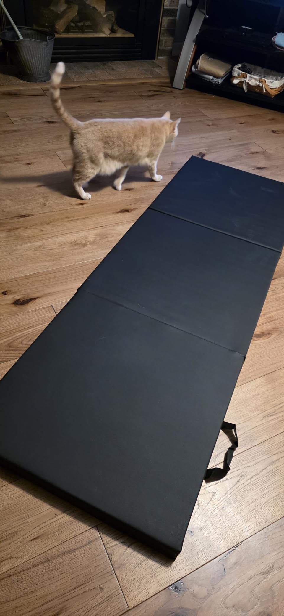 CAP Barbell Folding Exercise Mat - Durable, Anti-Tear, Thick Padding for Fitness, Aerobics, Gymnastics & Home Workouts 72