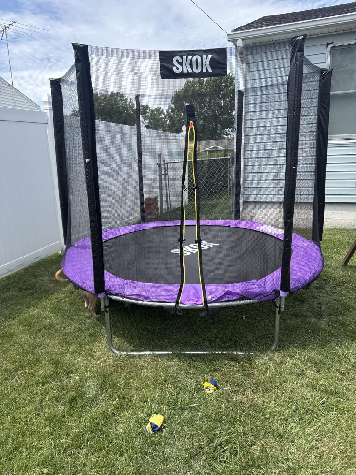 SKOK Trampoline for Kids, 400LBS Outdoor Trampoline with Net - ASTM Approved Trampoline for Children and Adults customer photo 1