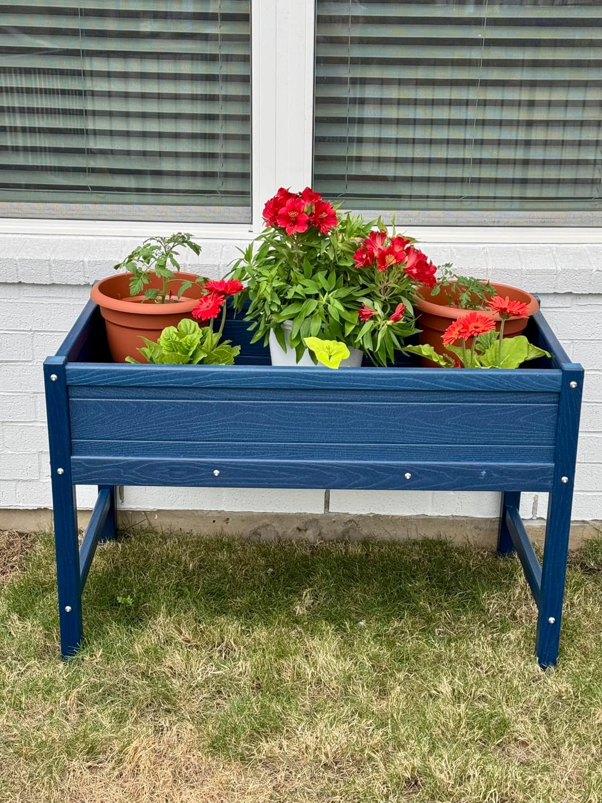 Small HDPE Raised Garden Bed, Elevated Planter Box with Legs, Outdoor All-Weather Planter Raised Beds for Seeds, Herbs, Flowers, Vegetables (Navy Blue) customer photo 1