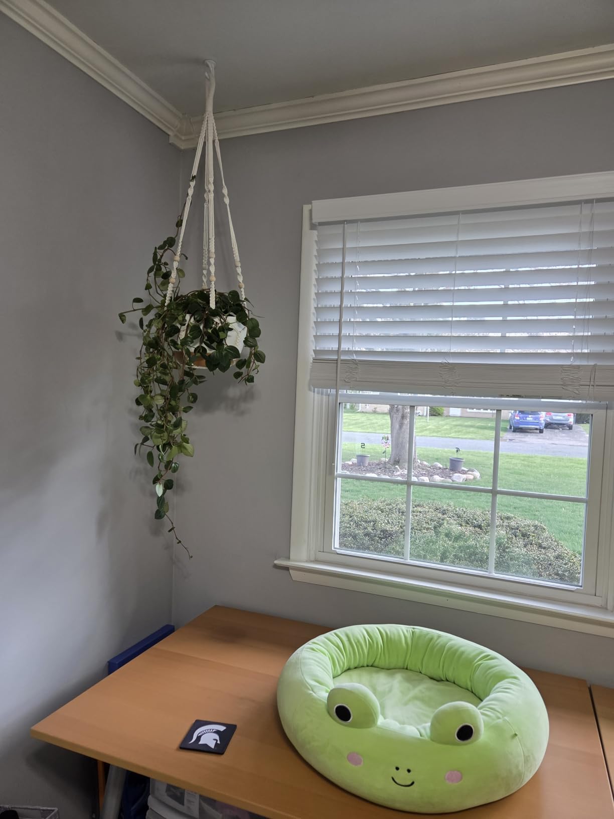 Set of 2-10 Inch Hanging Planters for Indoor Plants with Self-Watering Includes Hanging Pots for Plants, Outdoor Hanging Plant Pot with Drainage, and 2 Types of Hanging Baskets Hangers (White, 10 inch) customer photo 2