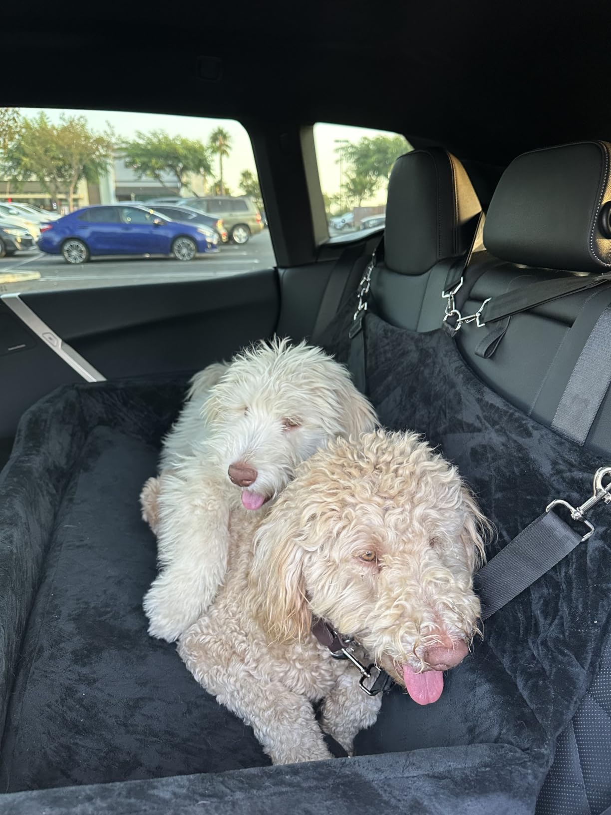HEGGCOOE Large Dog Car Seat Under 100 lbs, Washable Dog Car Bed for 2 Medium Dogs, Detachable Pet Booster Seat with Storage Pocket and Seat Belt for Back Seat Dog Travel Bed customer photo 2