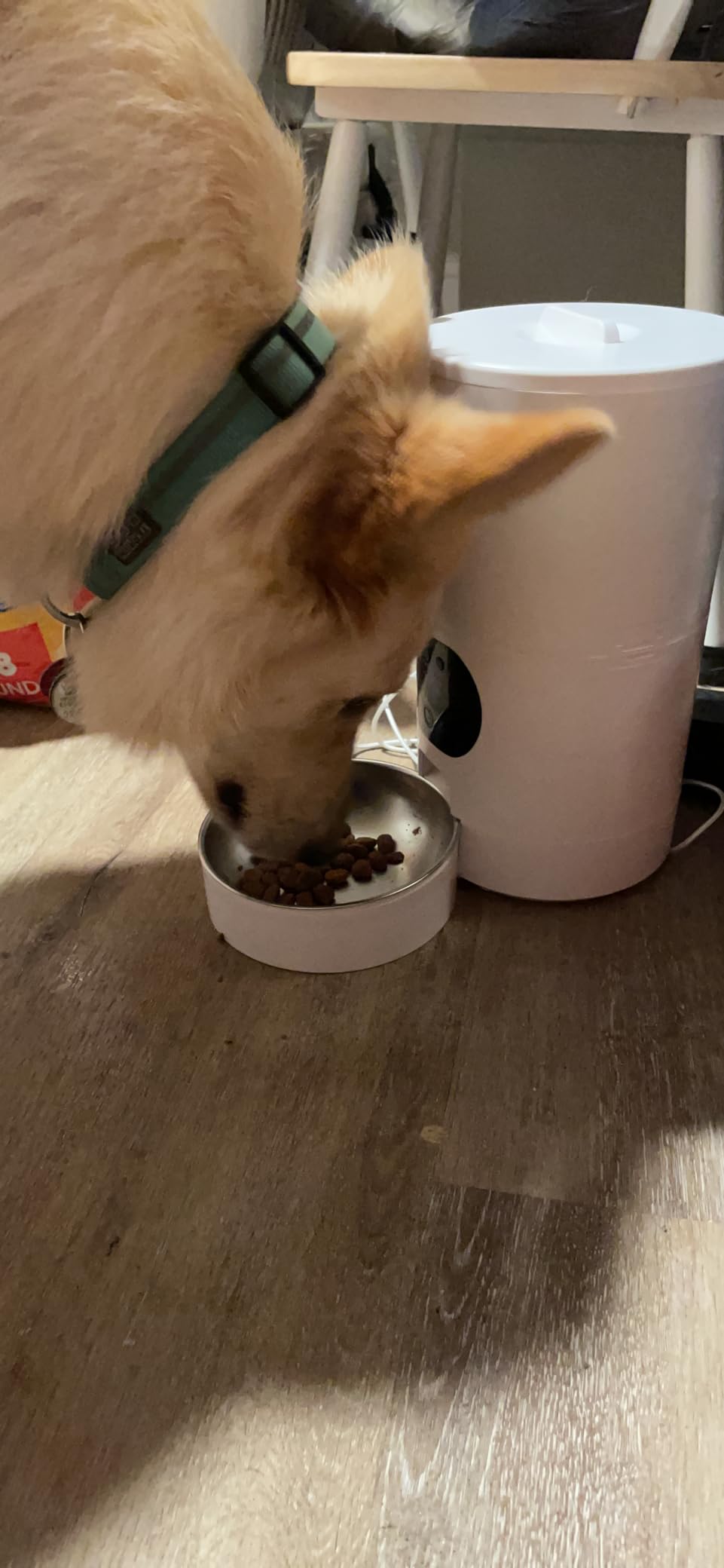 Automatic Dog Feeder with Camera - 8L/33 Cups Smart Dog Feeder | 5GHz/2.4GHz WiFi App Control for Small/Medium Dogs & Cats, 1080P HD Night Vision 2-Way Audio, Timed Dry Food Dispenser Indoor customer photo 2