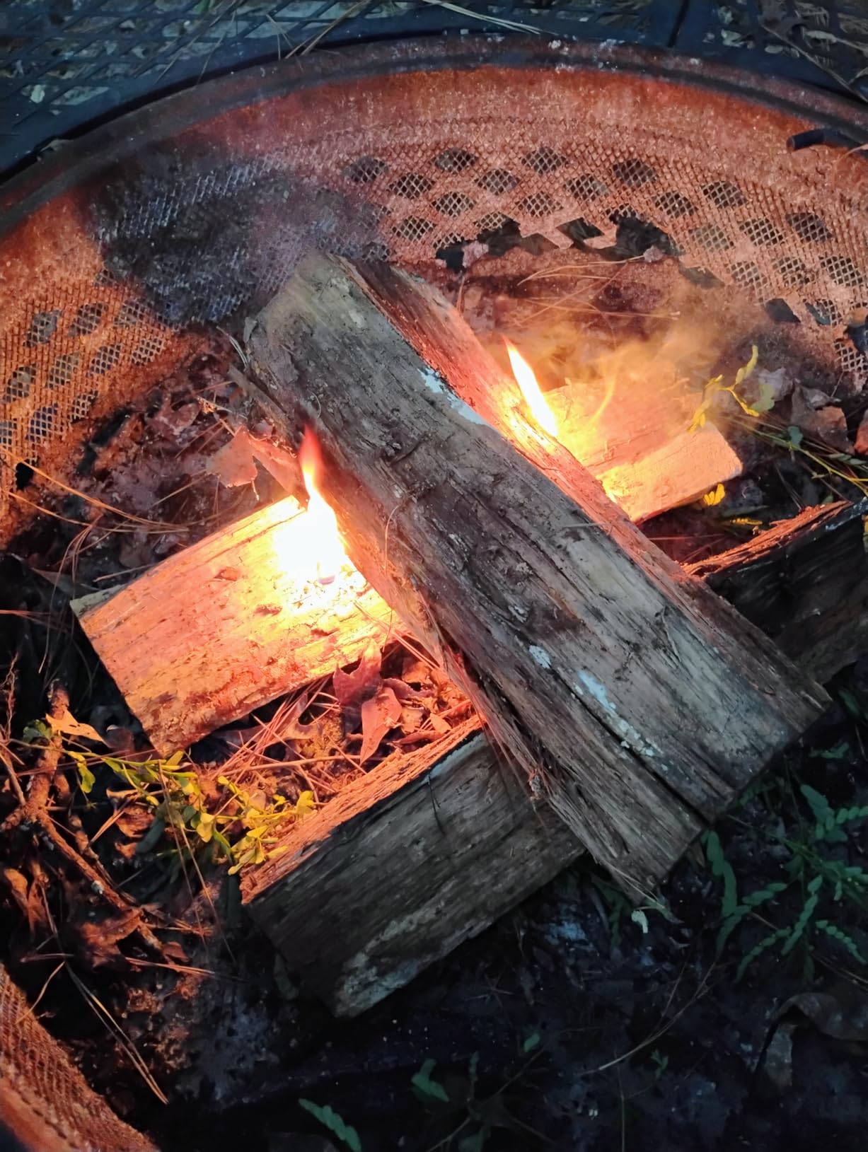 Non-Toxic Waterproof Fire Starters with 5+ Minute Burn for Emergencies, Survival, Campfires, Fire Pits, Grills - Made in the USA - 50 Pack customer photo 2