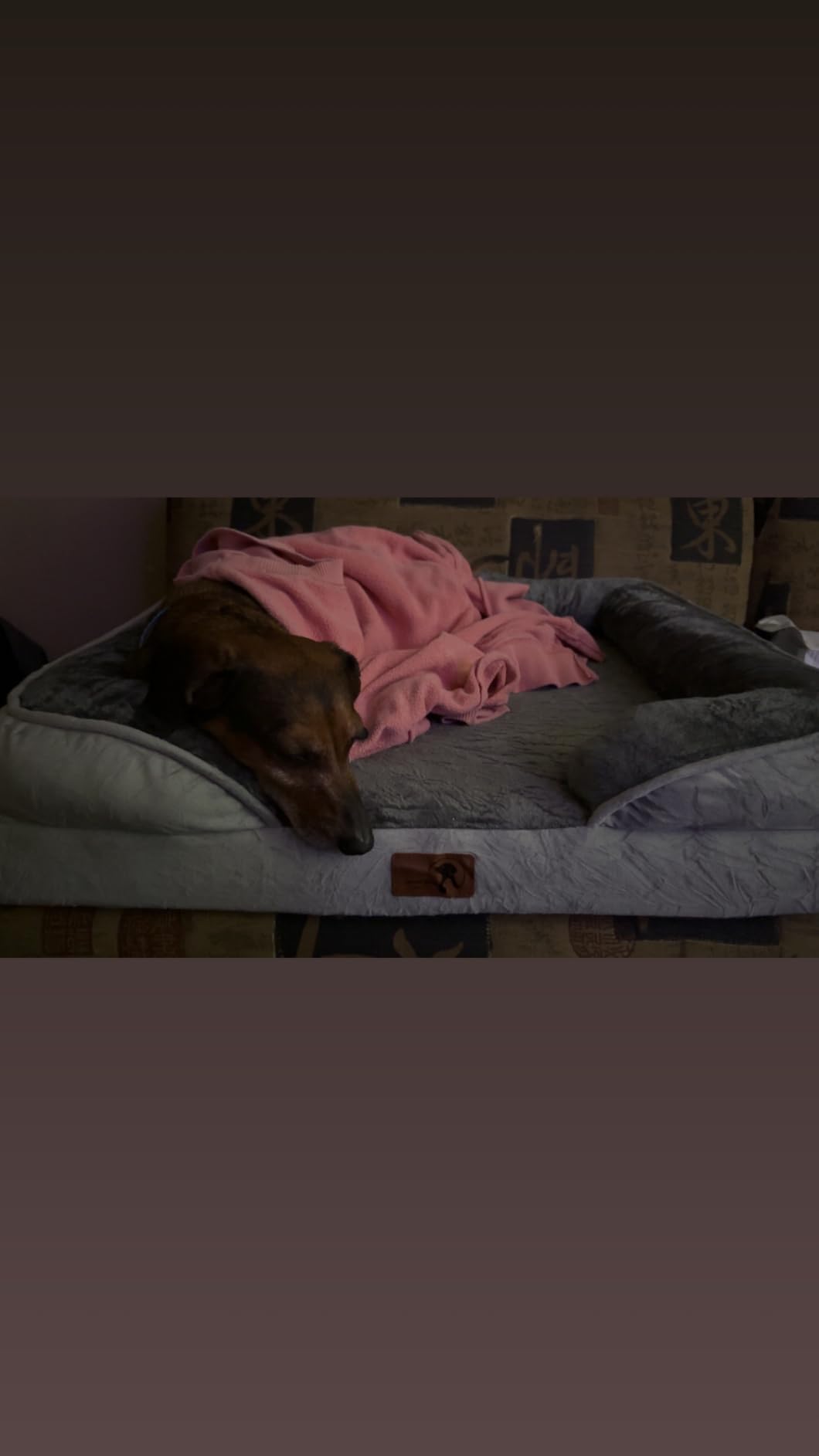 Spotted Play Orthopedic Dog Bed with Sides - Dog Sofa Beds for Small Dogs, Supportive Foam Pet Couch Bed with Washable Removable Cover, Waterproof Lining and Non-Slip Bottom, Grey - S customer photo 1