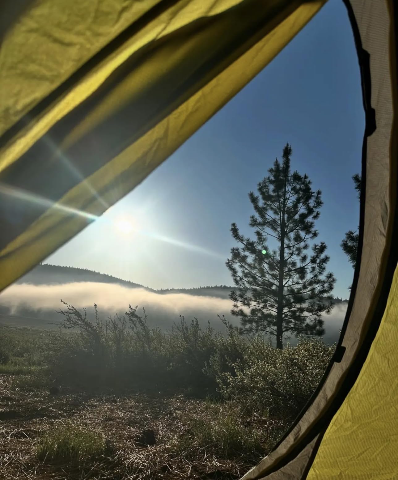Dagger OSMO Backpacking Tent | Lightweight, Spacious, Versatile, Camping customer photo 2