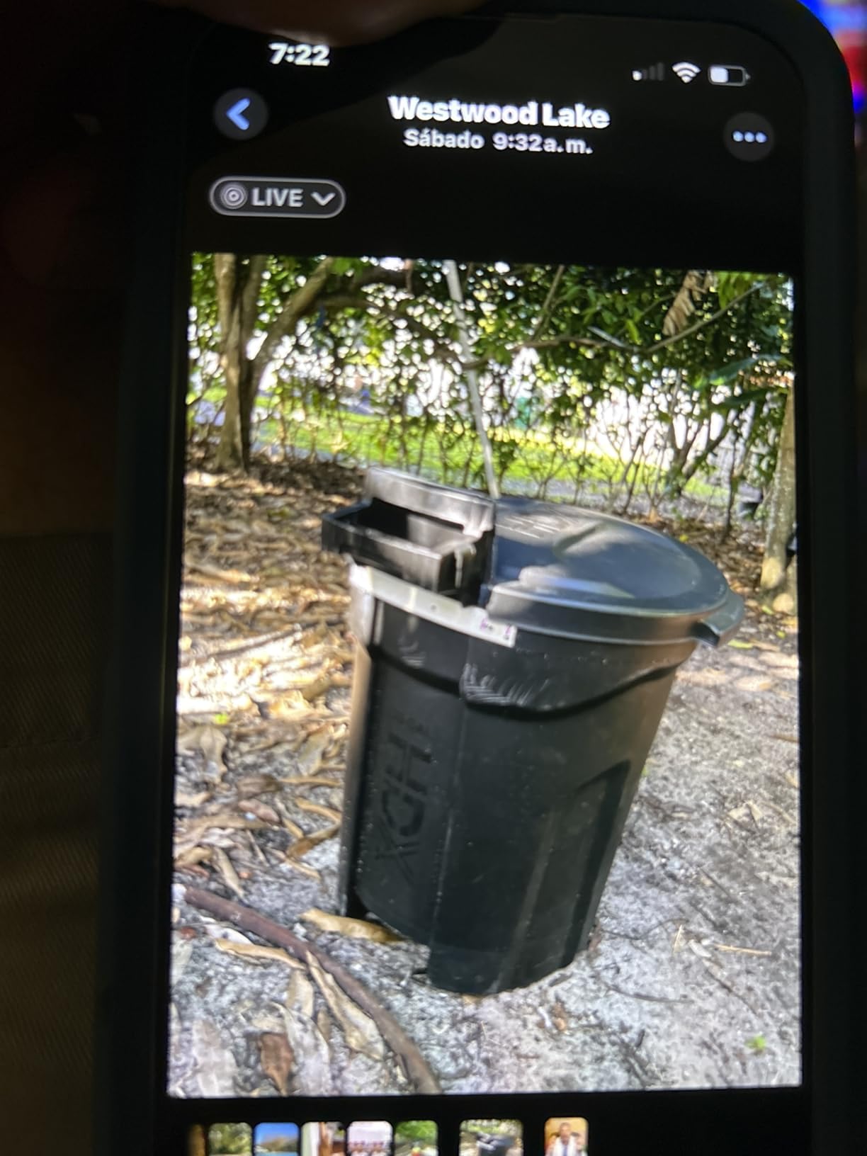GreenSweep XL Bladeless Leaf Shredder & Mulcher | Powerful 15 Amp, 9,000RPM Motor for 18:1 Reduction Ratio customer photo 1