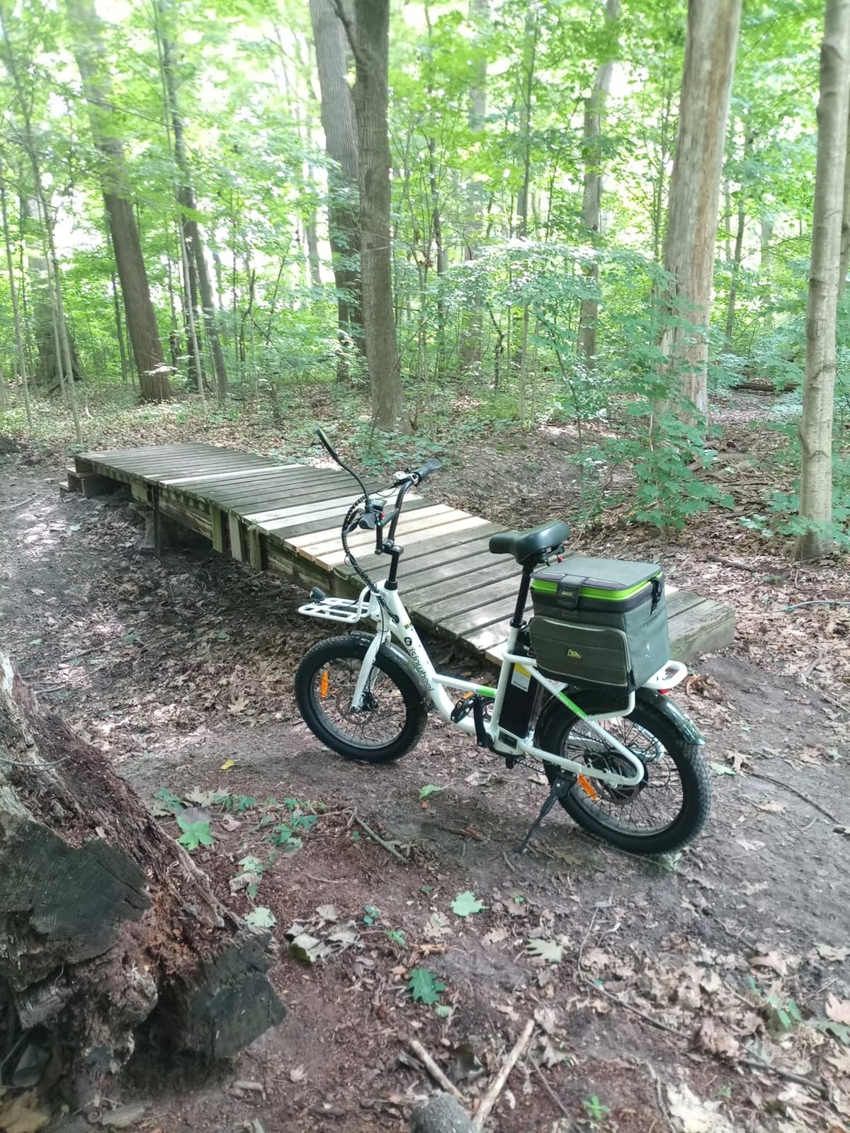 isinwheel U7S Electric Bike for Adult, Peak 1500W Motor 48V 20Ah Battery Up to 20+ MPH & 80 Miles Step-Thru Cargo Ebike, 7-Speed All Terrain Fat Tire Front Suspension E-Bike customer photo 2
