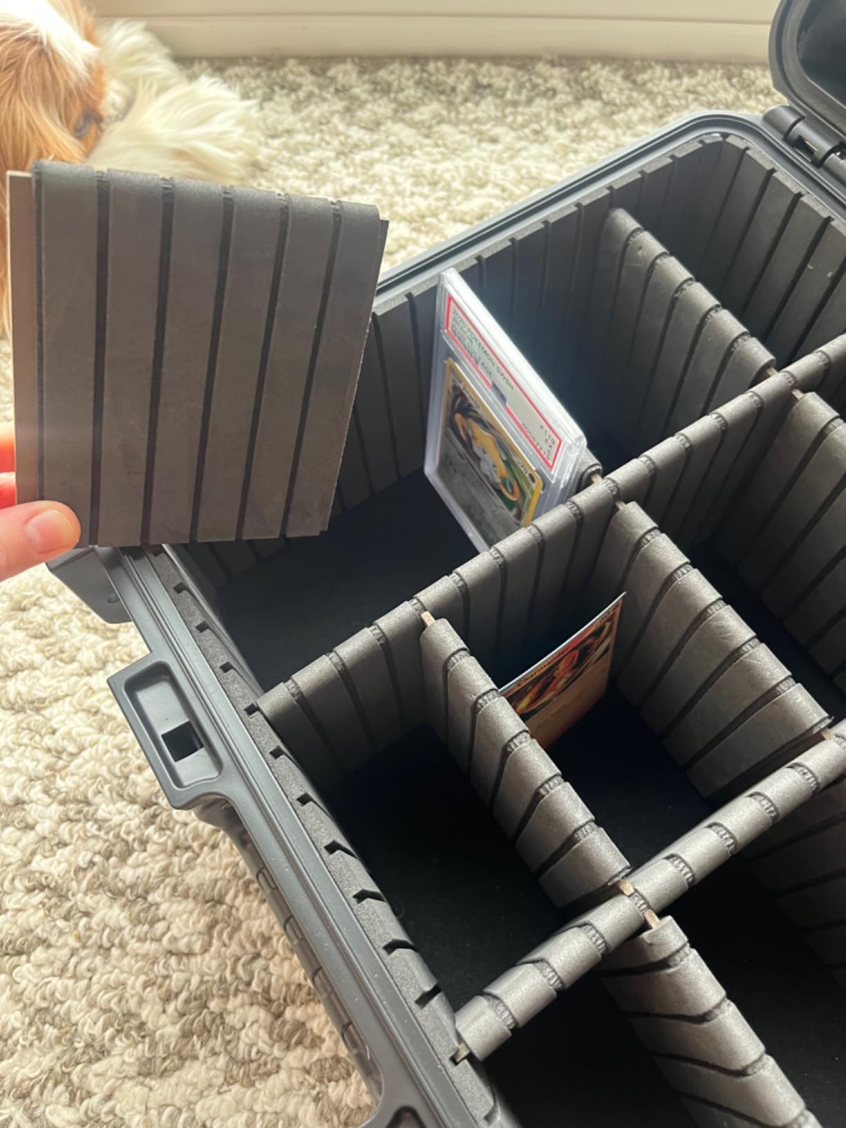 Graded Card Case Storage Box: Trading Card Storage Box with 9 Dividers | Waterproof Hard Slab Case for Toploader PSA BGS SGC Sports Baseball Football Basketball Magnetic, Holds 600+ Top Loaders customer photo 2